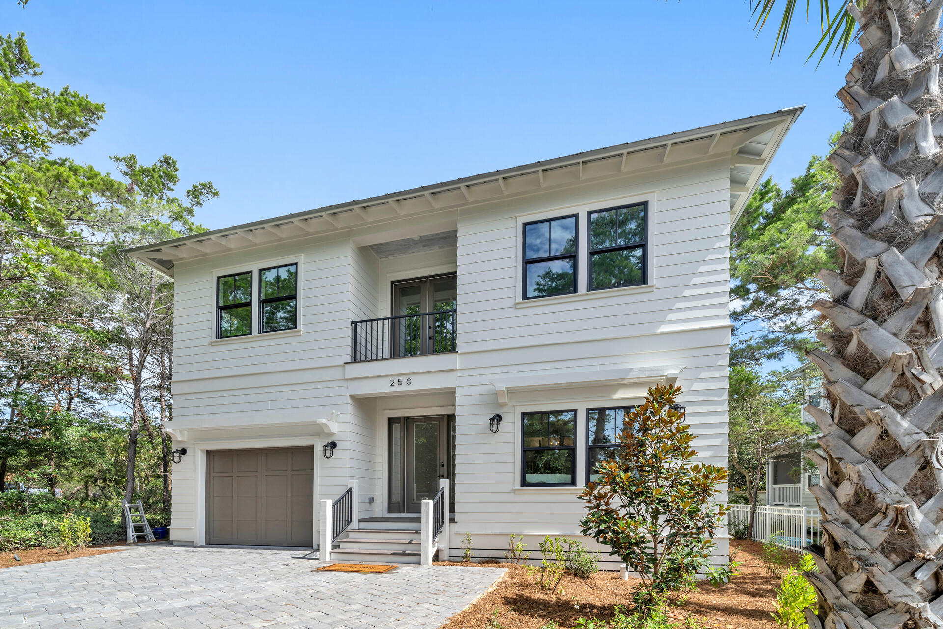 250 Grande Pointe Cir Inlet Beach Inlet Beach, FL 32461 - Photo 4 of 48 a front view of a house with a tree