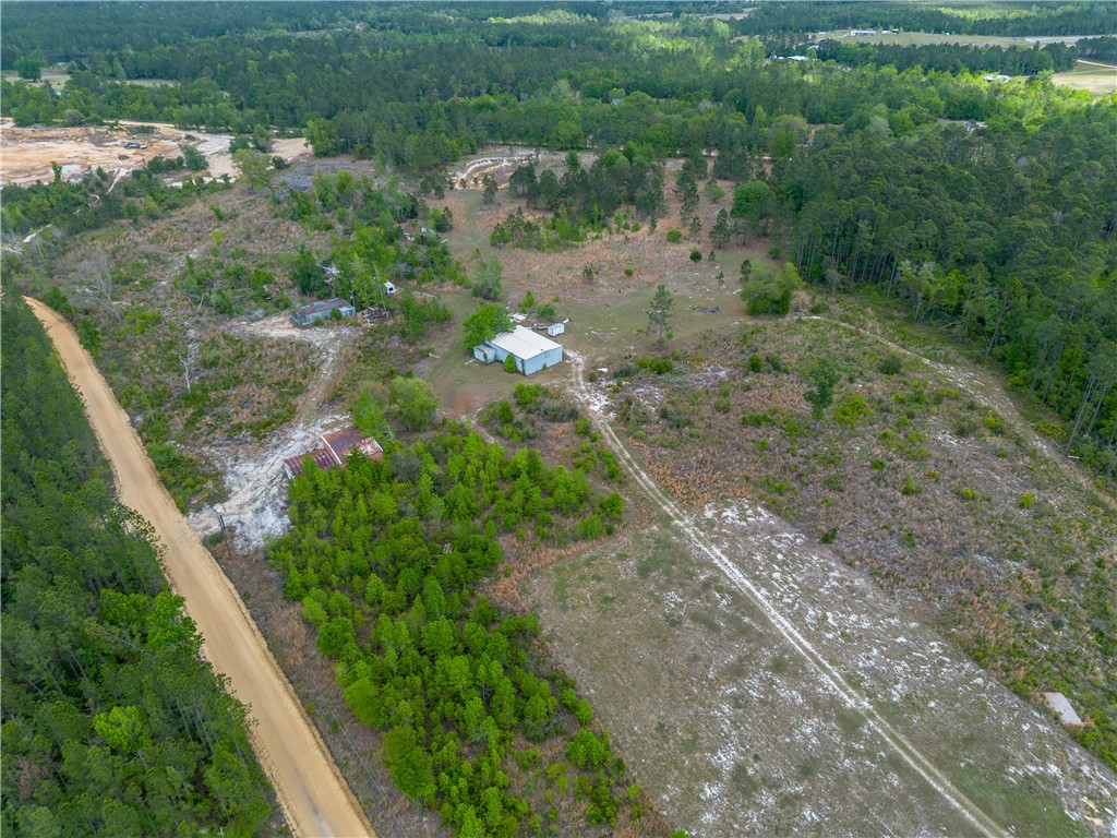 3812 Spring Branch Church Extention Baxley, GA 31513 - Photo 57 of 60