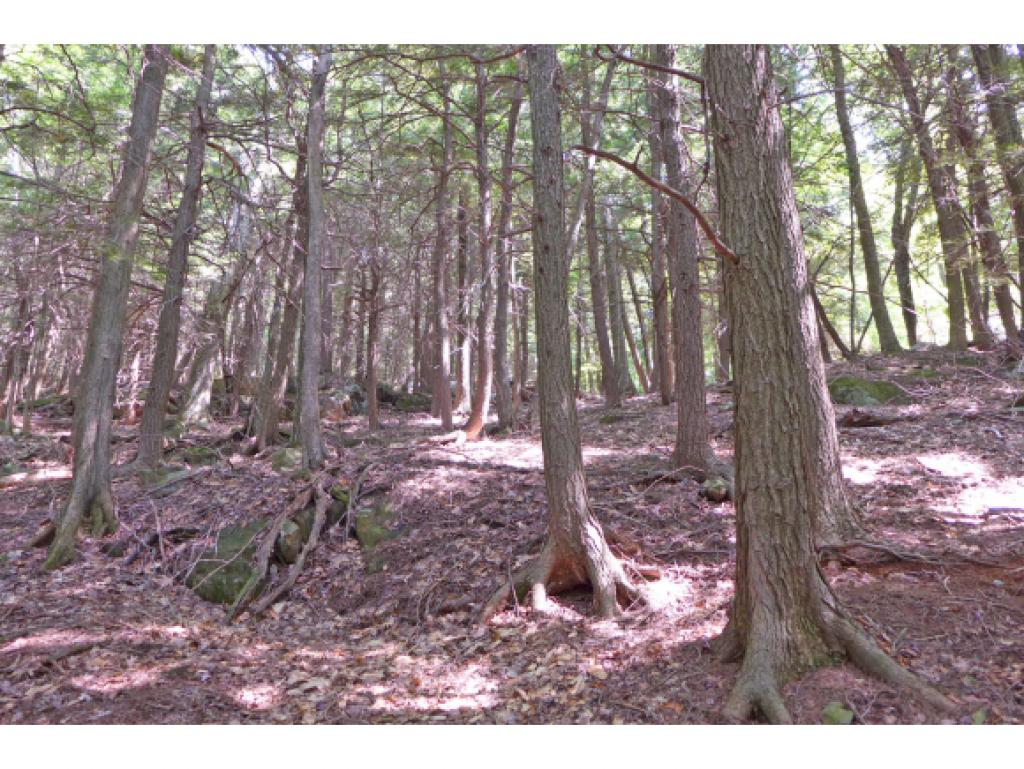 75 Hunter Brook Road Newfane, VT 05351 - Photo 11 of 36