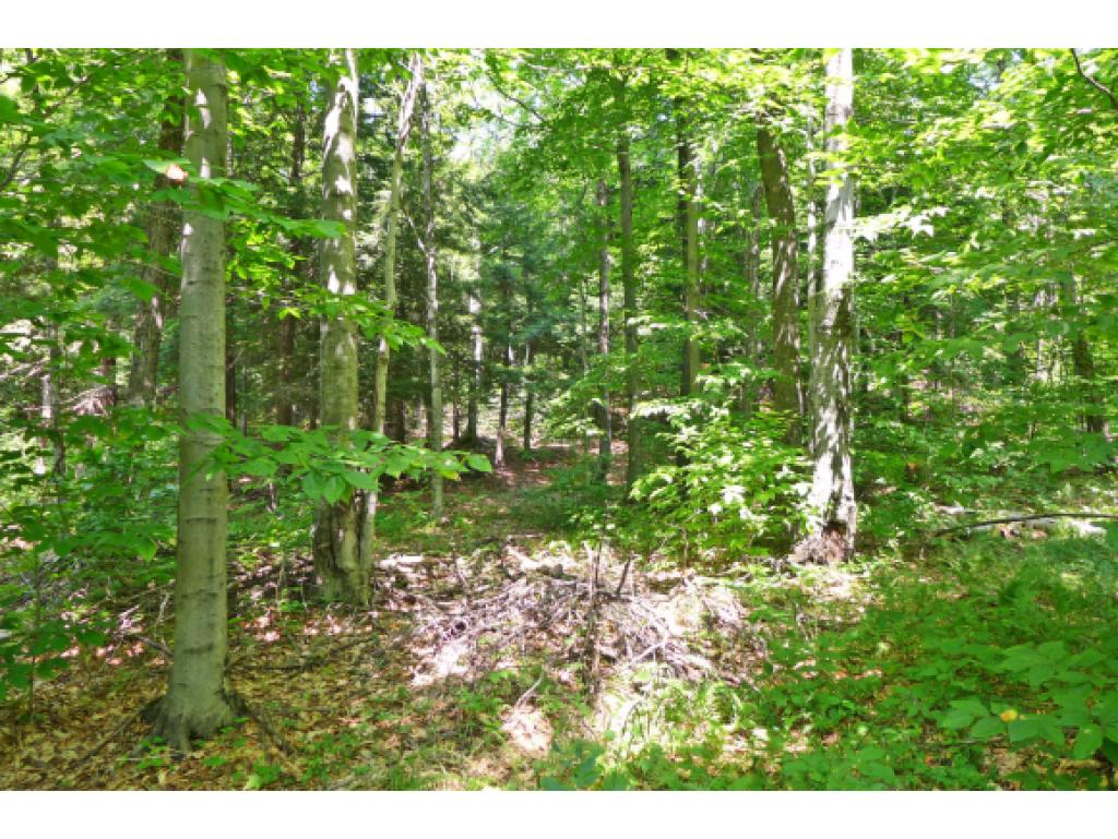 75 Hunter Brook Road Newfane, VT 05351 - Photo 17 of 36