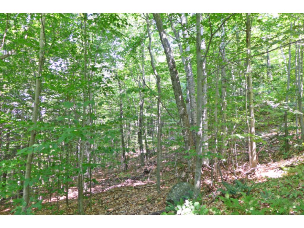 75 Hunter Brook Road Newfane, VT 05351 - Photo 18 of 36