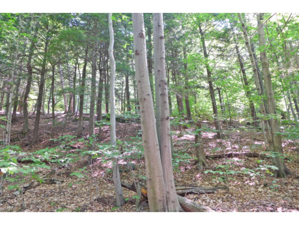 75 Hunter Brook Road Newfane, VT 05351 - Photo 20 of 36