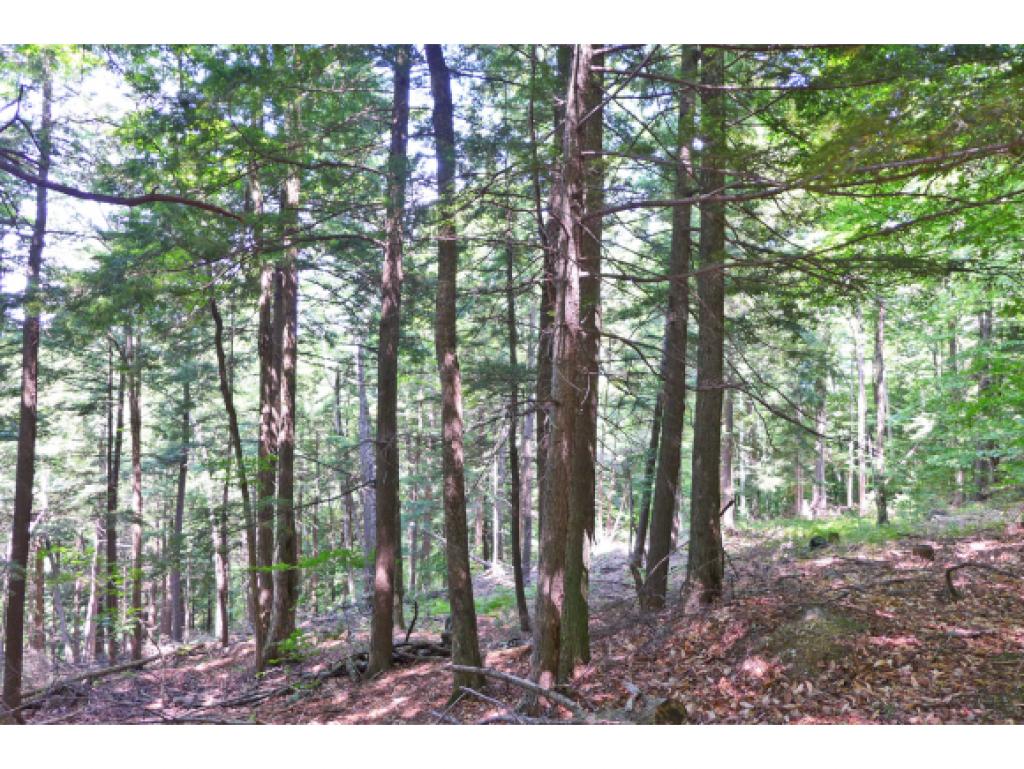 75 Hunter Brook Road Newfane, VT 05351 - Photo 21 of 36