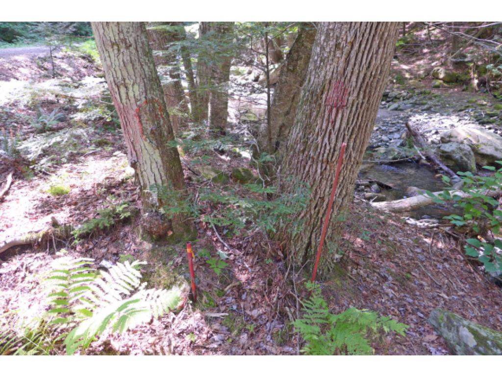 75 Hunter Brook Road Newfane, VT 05351 - Photo 23 of 36
