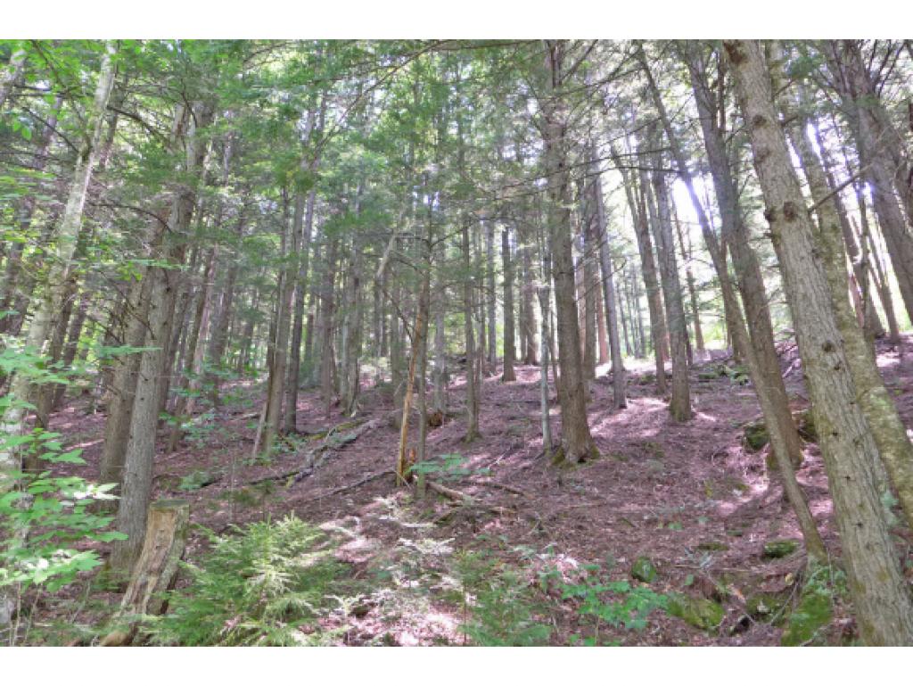 75 Hunter Brook Road Newfane, VT 05351 - Photo 24 of 36