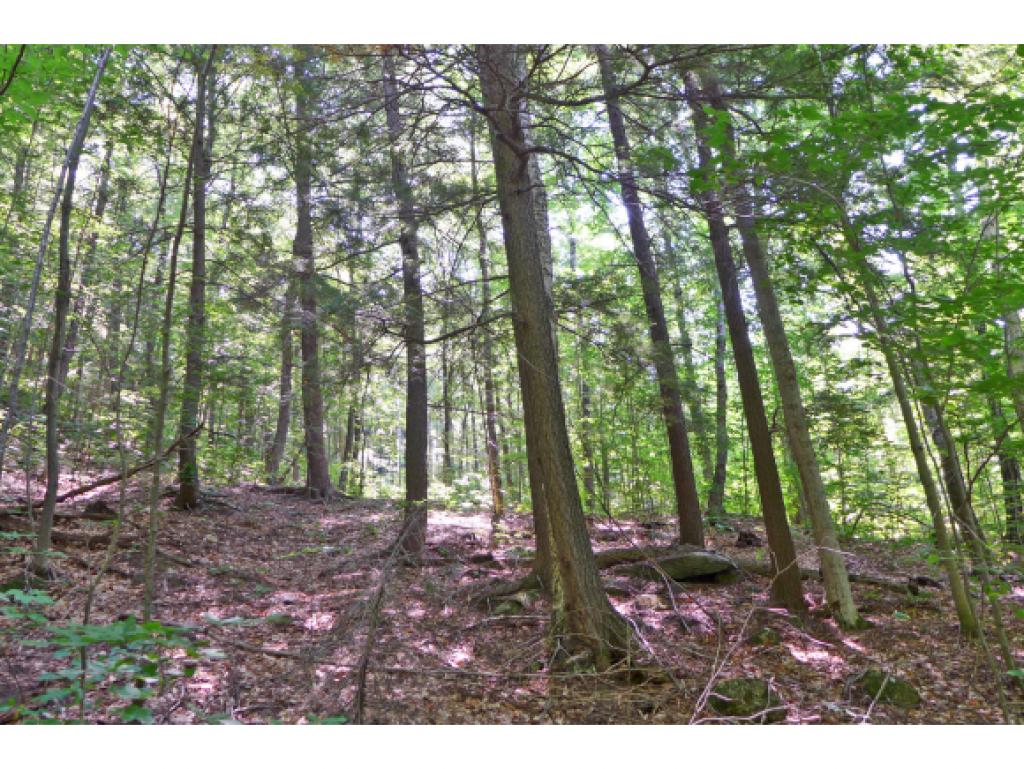 75 Hunter Brook Road Newfane, VT 05351 - Photo 25 of 36