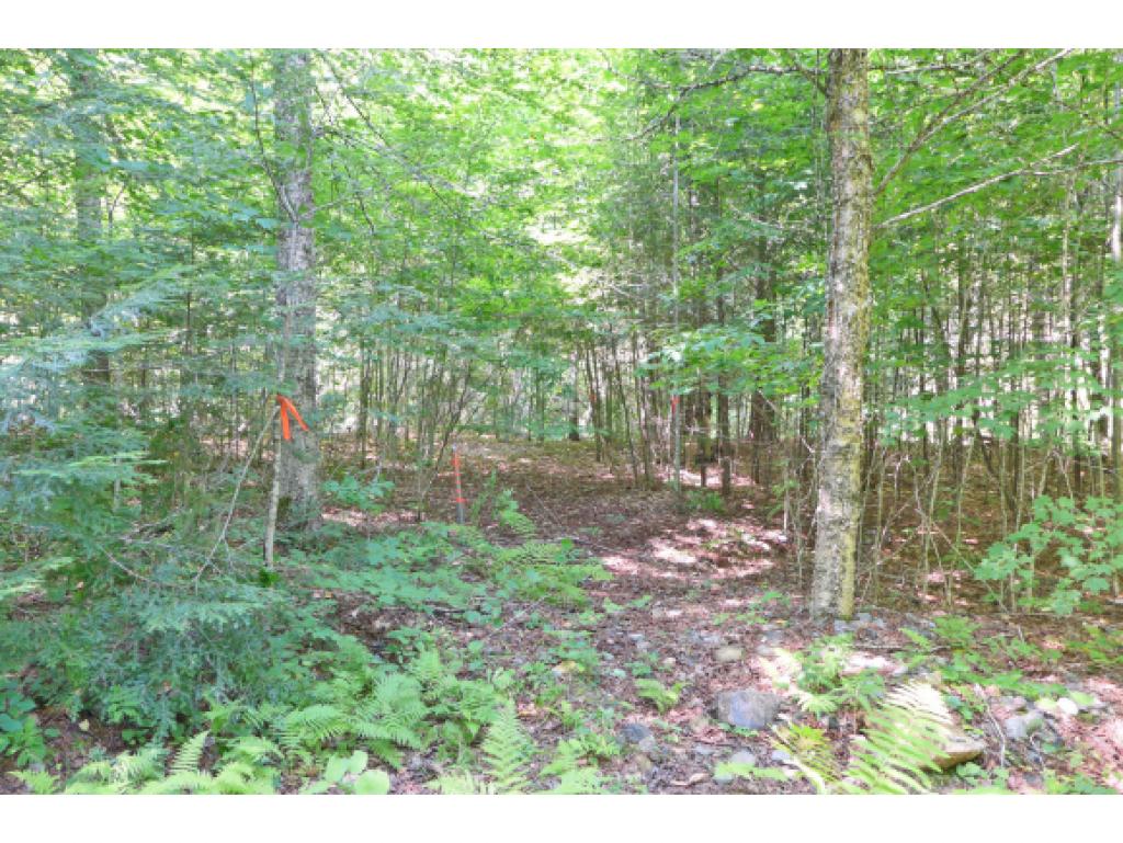 75 Hunter Brook Road Newfane, VT 05351 - Photo 26 of 36