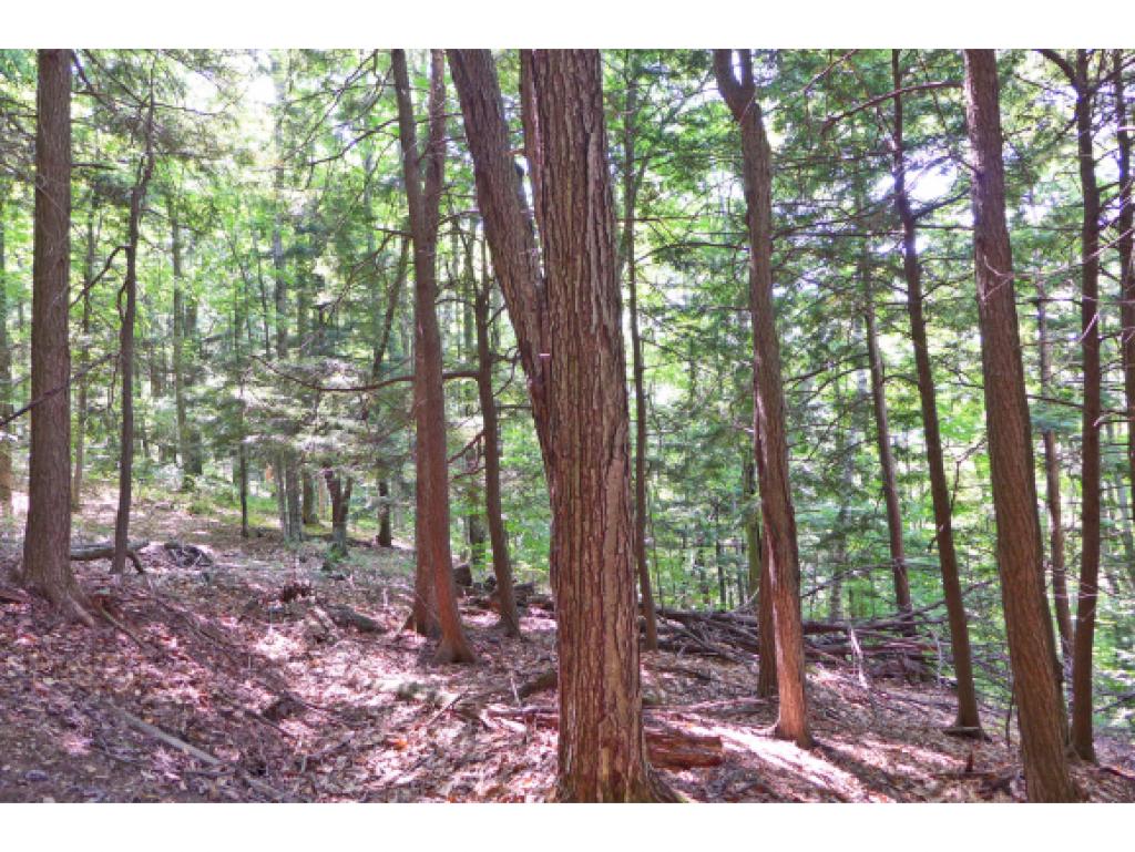 75 Hunter Brook Road Newfane, VT 05351 - Photo 27 of 36