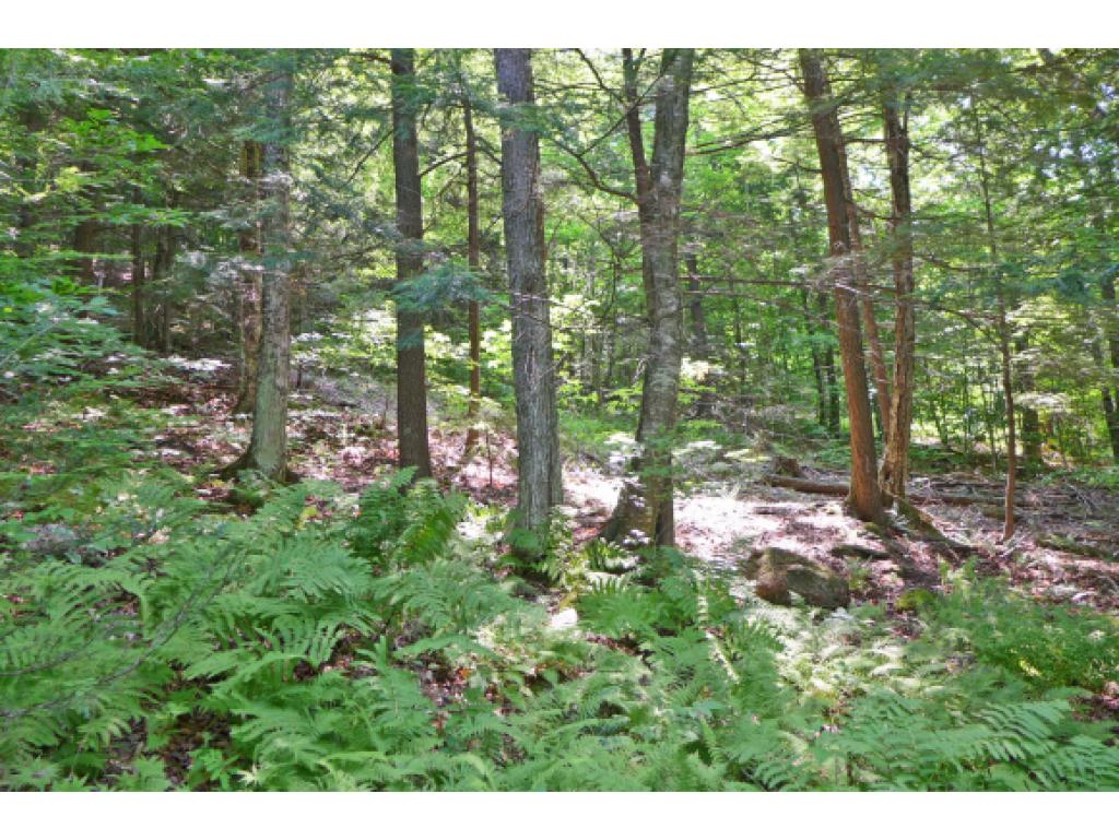 75 Hunter Brook Road Newfane, VT 05351 - Photo 28 of 36