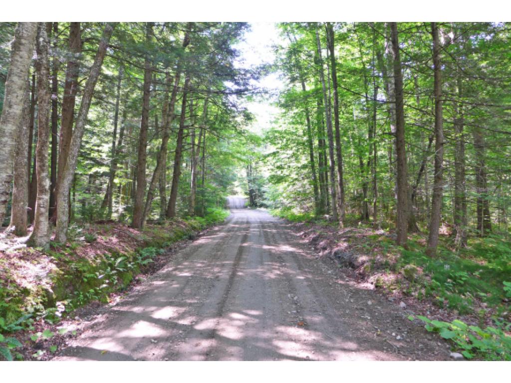 75 Hunter Brook Road Newfane, VT 05351 - Photo 29 of 36