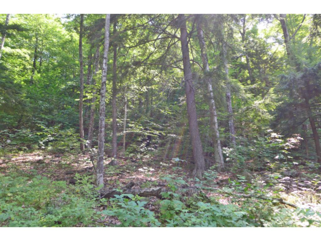 75 Hunter Brook Road Newfane, VT 05351 - Photo 30 of 36
