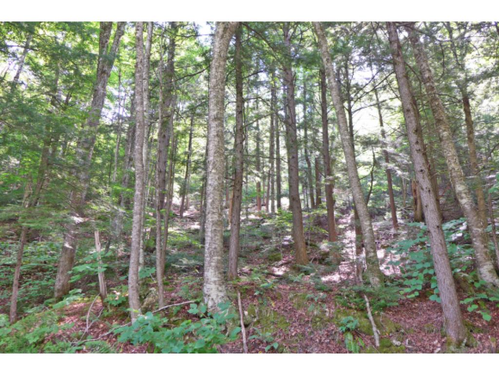 75 Hunter Brook Road Newfane, VT 05351 - Photo 9 of 36