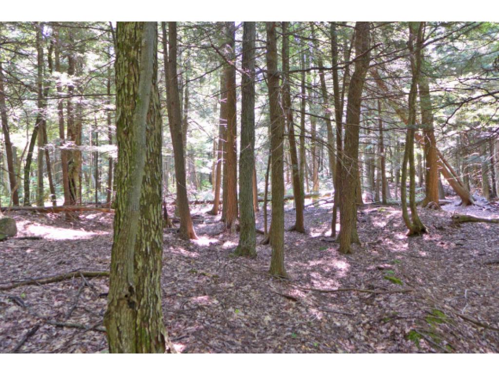 75 Hunter Brook Road Newfane, VT 05351 - Photo 10 of 36