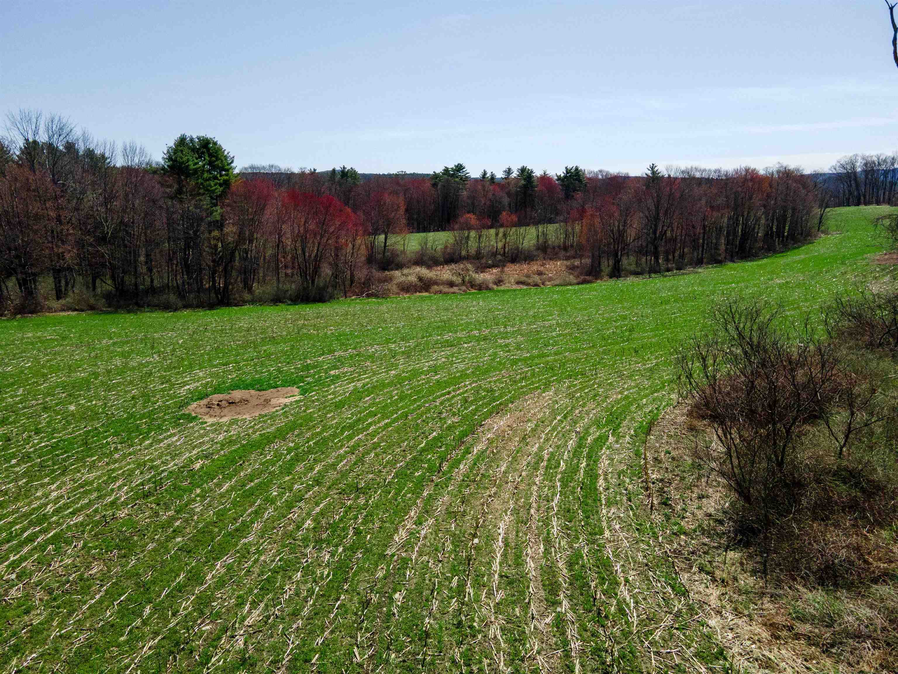 0 Ball Hill Road Langdon, NH 03602 - Photo 17 of 23 Gallery Image 17