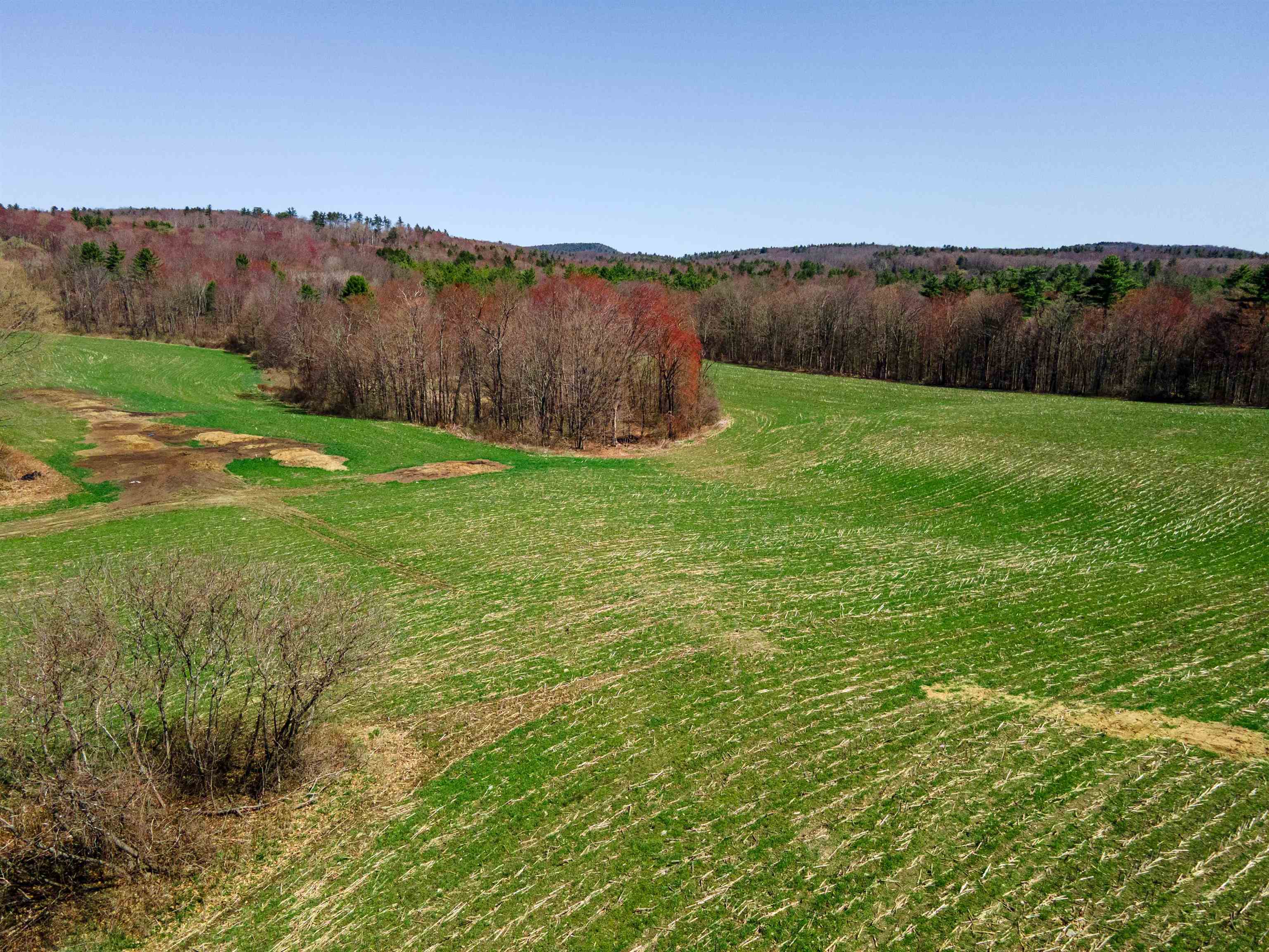 0 Ball Hill Road Langdon, NH 03602 - Photo 21 of 23 Gallery Image 21