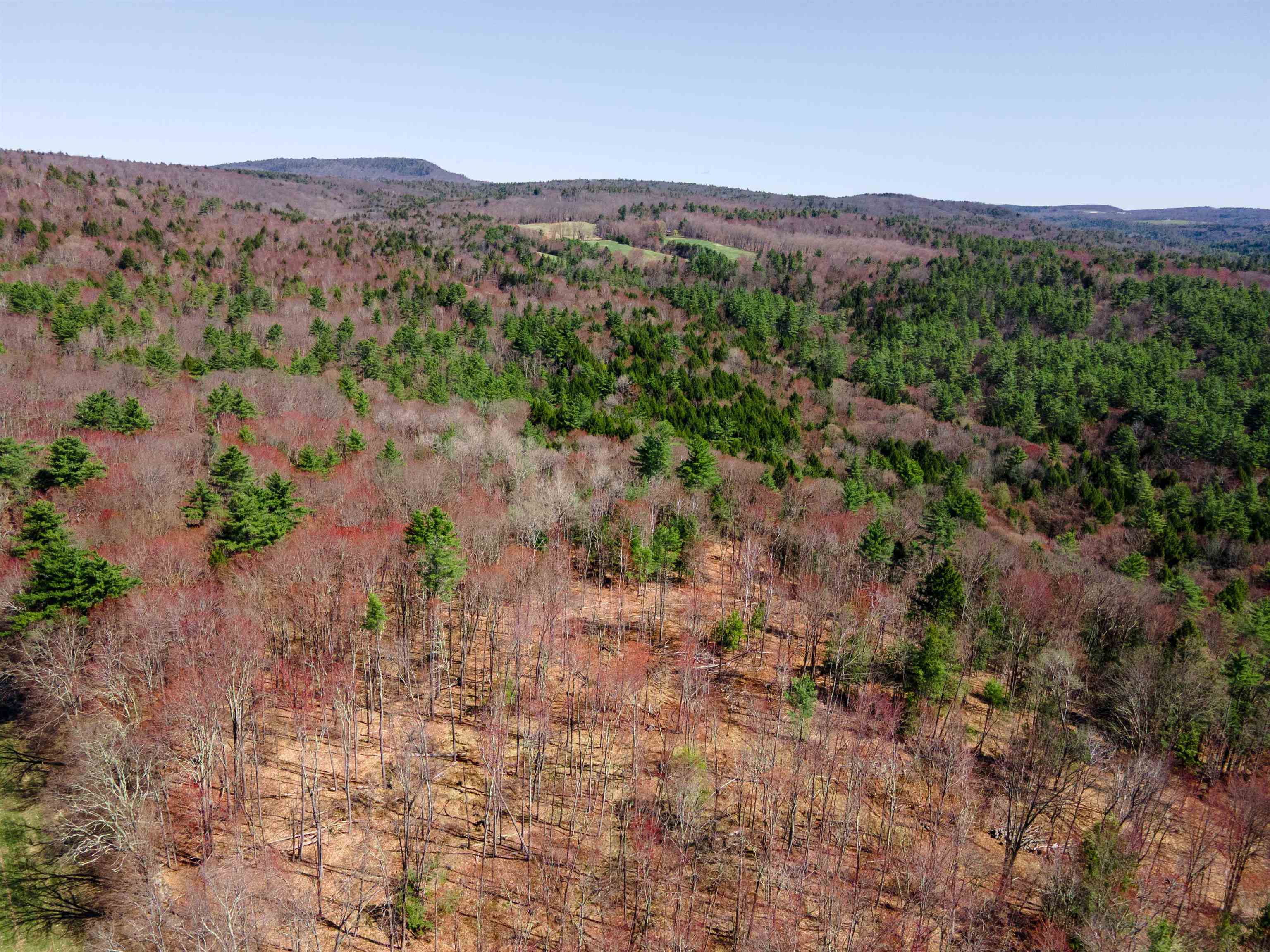 0 Ball Hill Road Langdon, NH 03602 - Photo 8 of 23 Gallery Image 8