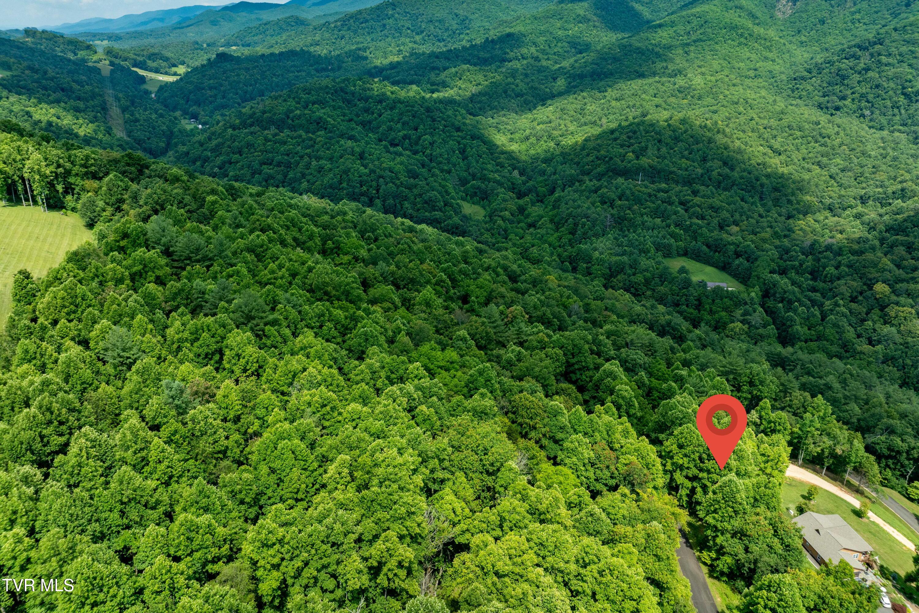 Lot 20 Lake Ridge Road, Unit 20 Butler, TN 37640 - Photo 19 of 27 Lot 20 (19 of 26)