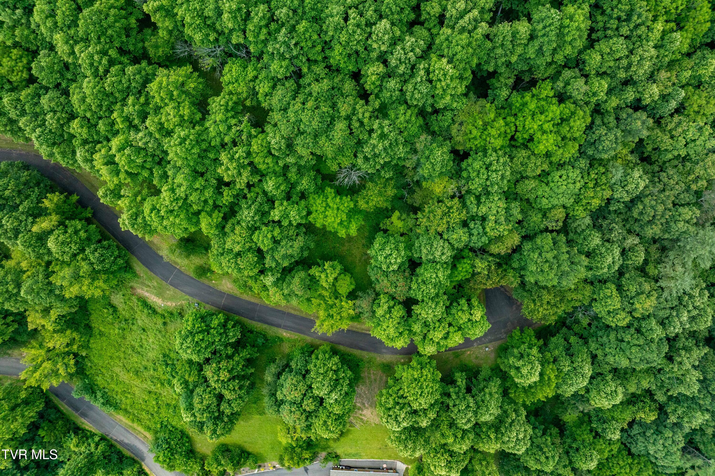 Lot 20 Lake Ridge Road, Unit 20 Butler, TN 37640 - Photo 2 of 27 Lot 20 (2 of 26)