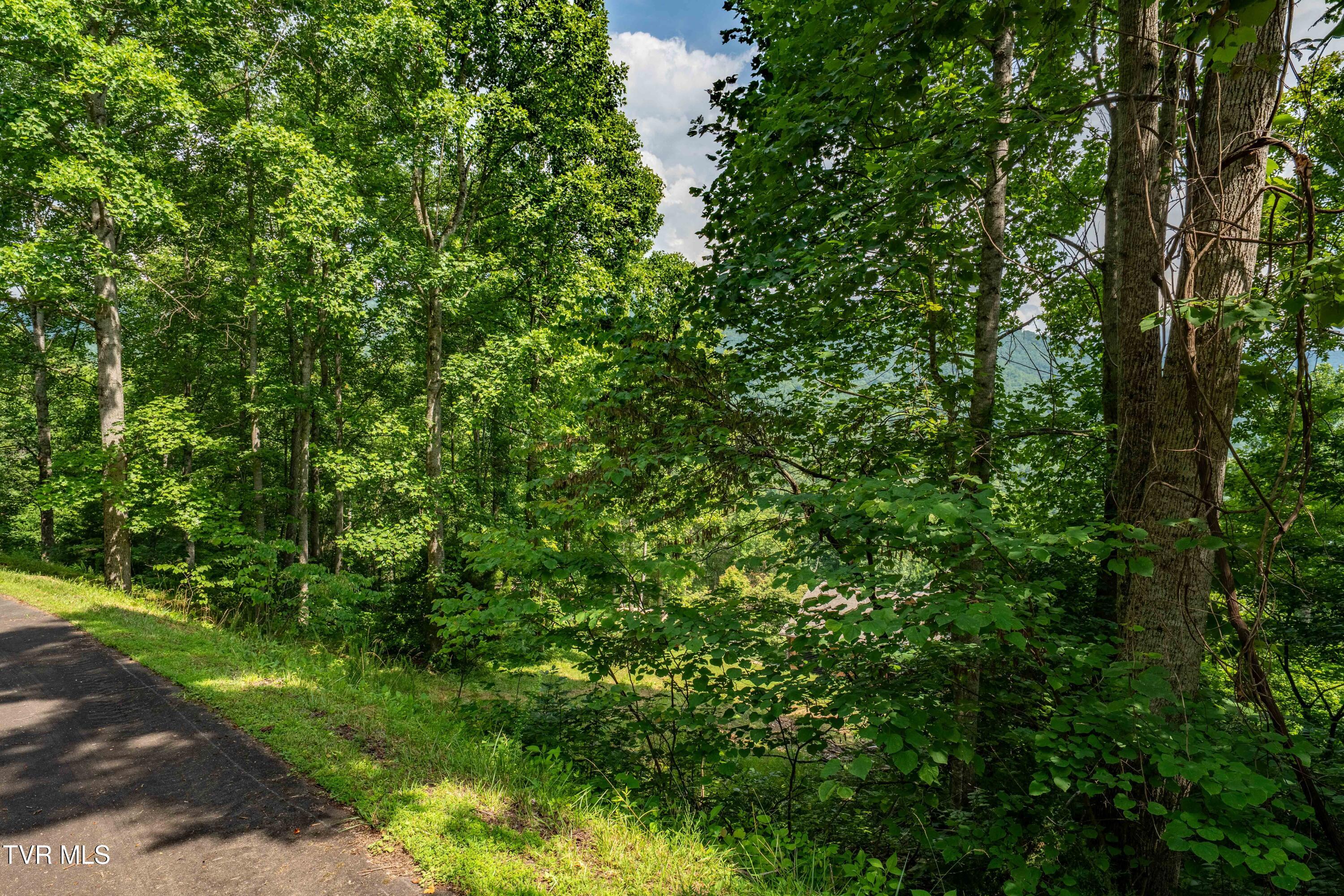 Lot 20 Lake Ridge Road, Unit 20 Butler, TN 37640 - Photo 24 of 27 Lot 20 (24 of 26)