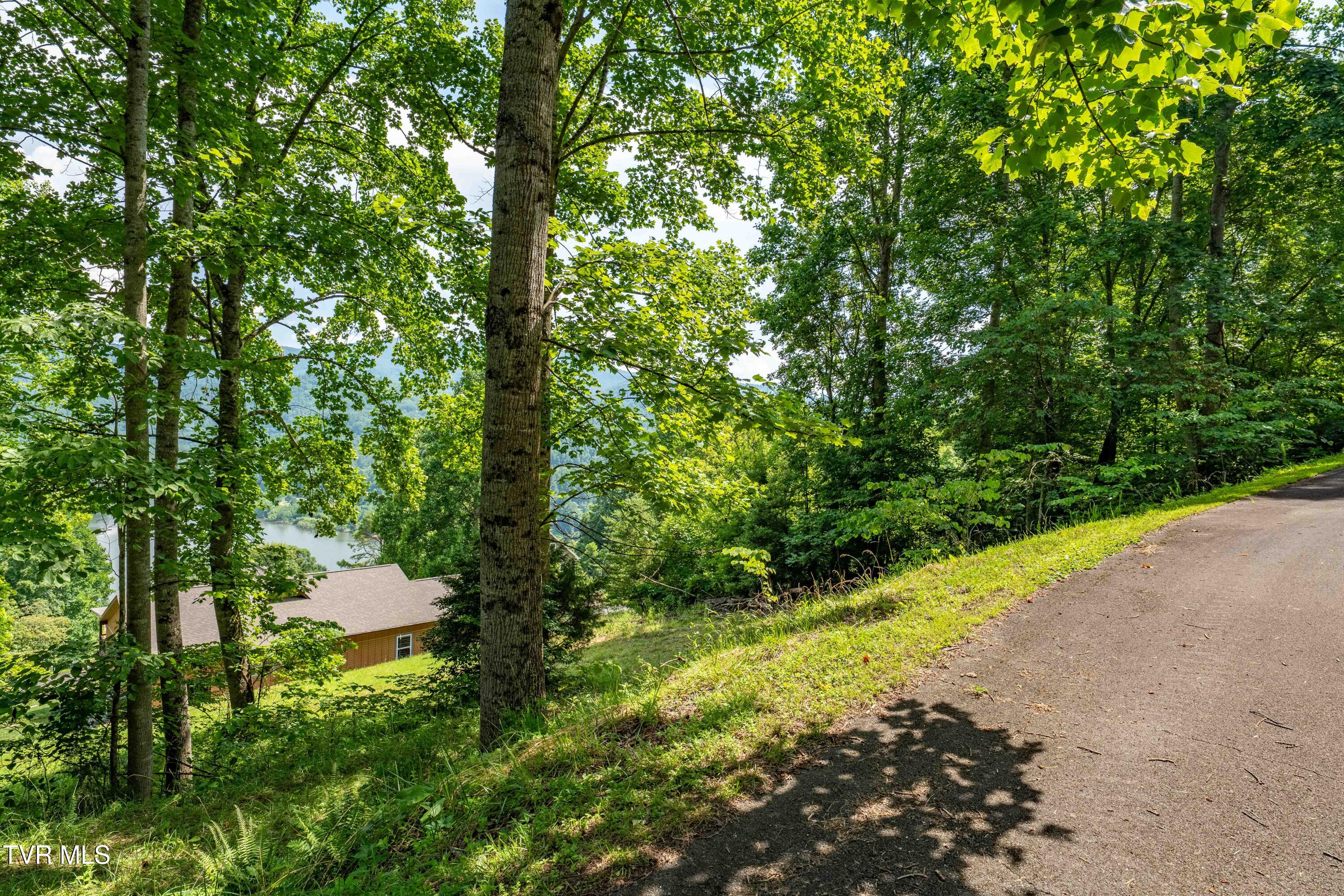 Lot 20 Lake Ridge Road, Unit 20 Butler, TN 37640 - Photo 25 of 27 Lot 20 (25 of 26)