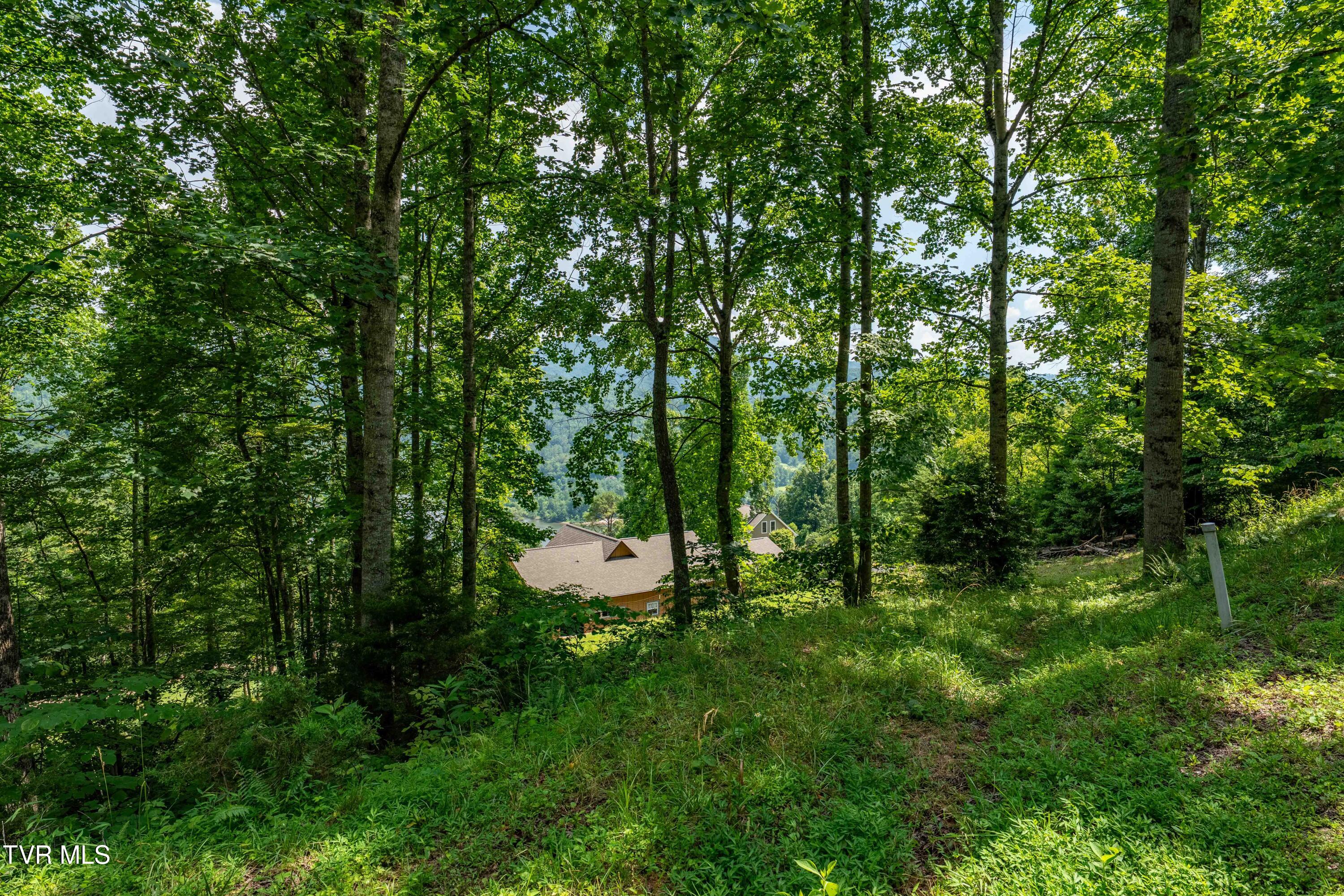 Lot 20 Lake Ridge Road, Unit 20 Butler, TN 37640 - Photo 26 of 27 Lot 20 (26 of 26)