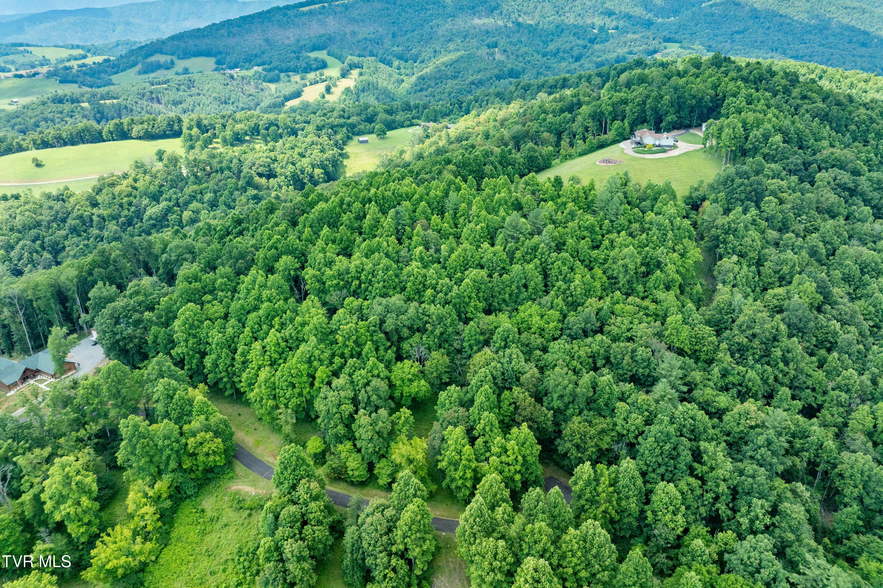 Lot 20 Lake Ridge Road, Unit 20 Butler, TN 37640 - Photo 4 of 27 Lot 20 (4 of 26)