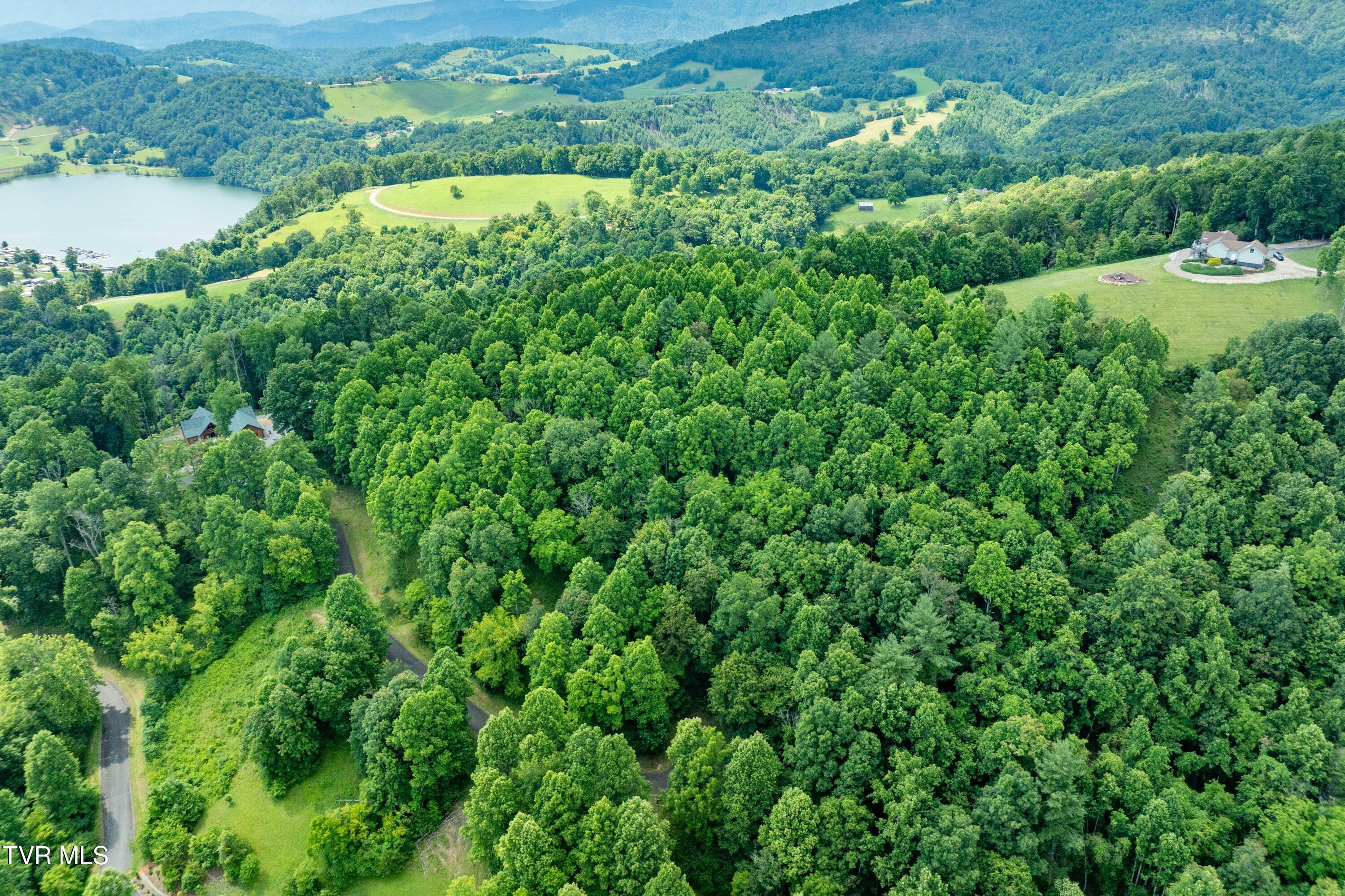 Lot 20 Lake Ridge Road, Unit 20 Butler, TN 37640 - Photo 6 of 27 Lot 20 (6 of 26)