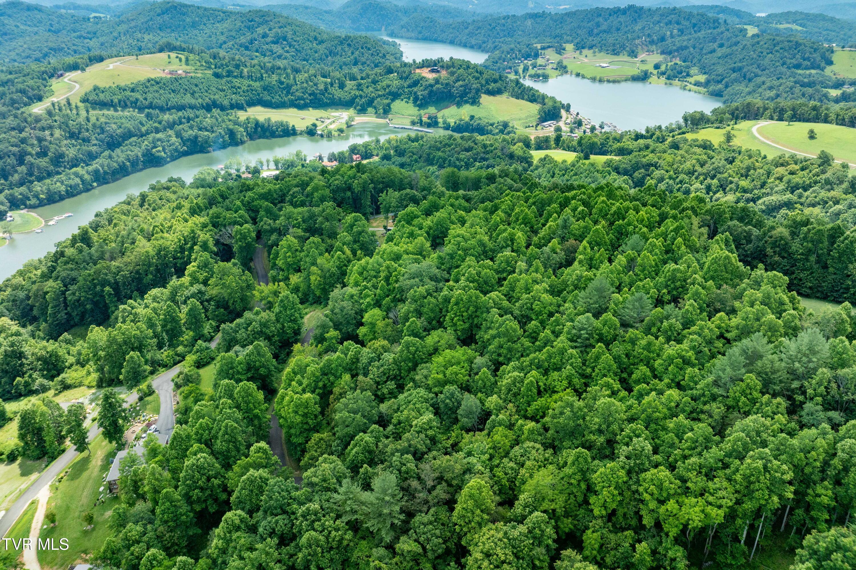 Lot 20 Lake Ridge Road, Unit 20 Butler, TN 37640 - Photo 10 of 27 Lot 20 (10 of 26)