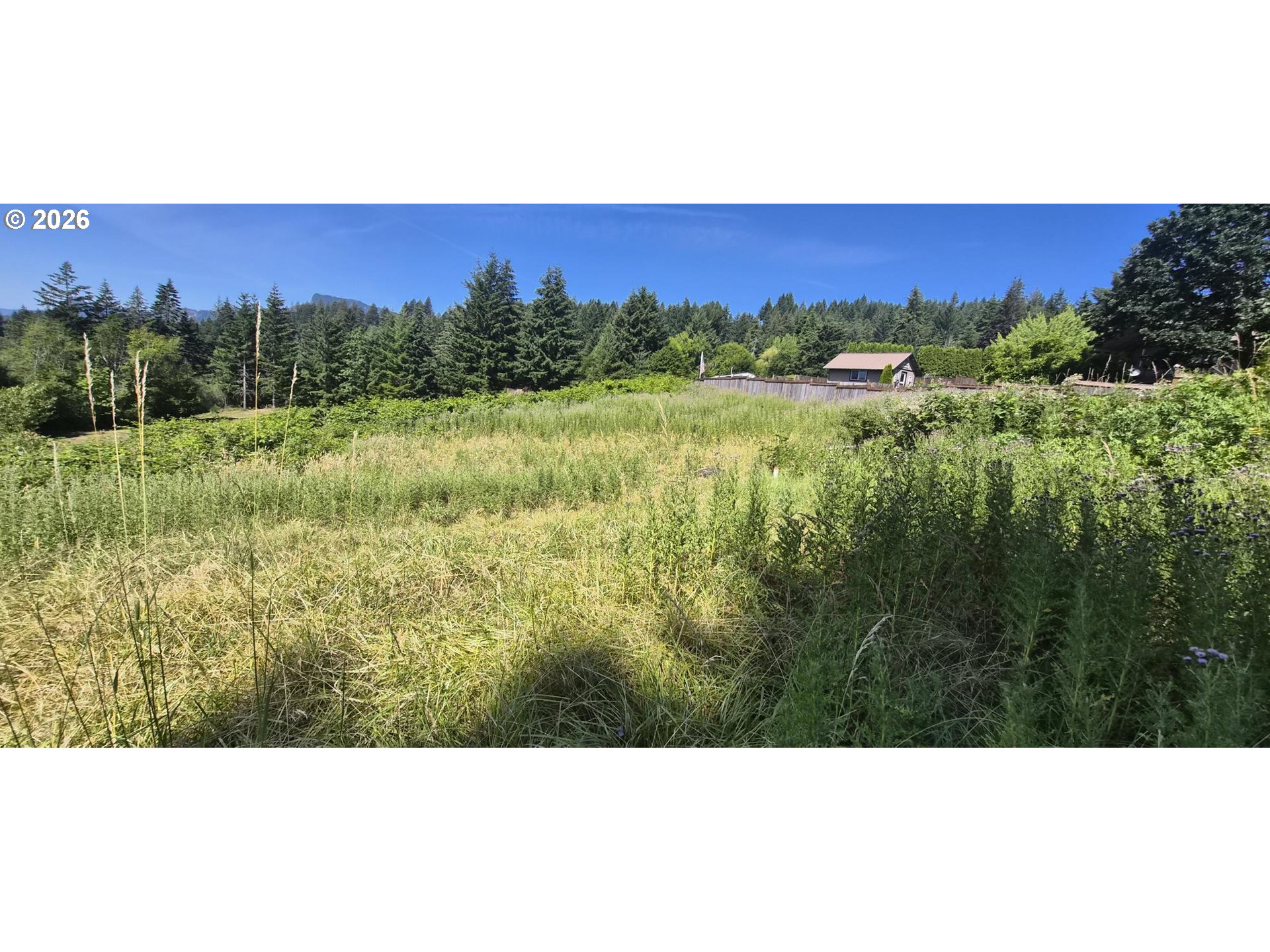 1811 East Loop Road Stevenson, WA 98648 - Photo 3 of 7