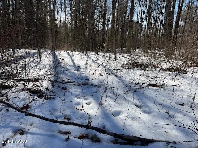 a view of a backyard of the house