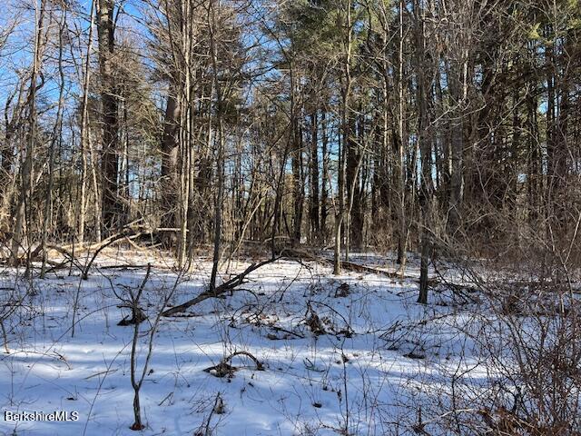 0 Tamaridge Road New Marlborough, MA 01230 - Photo 4 of 6 a view of backyard