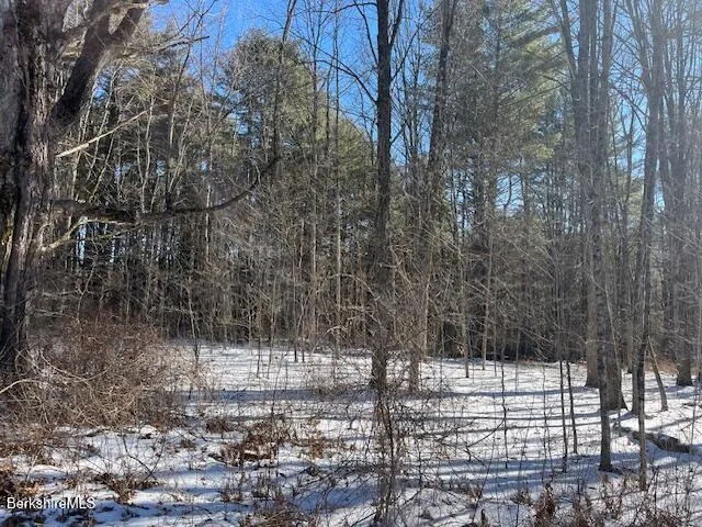 a view of a yard with trees in the background