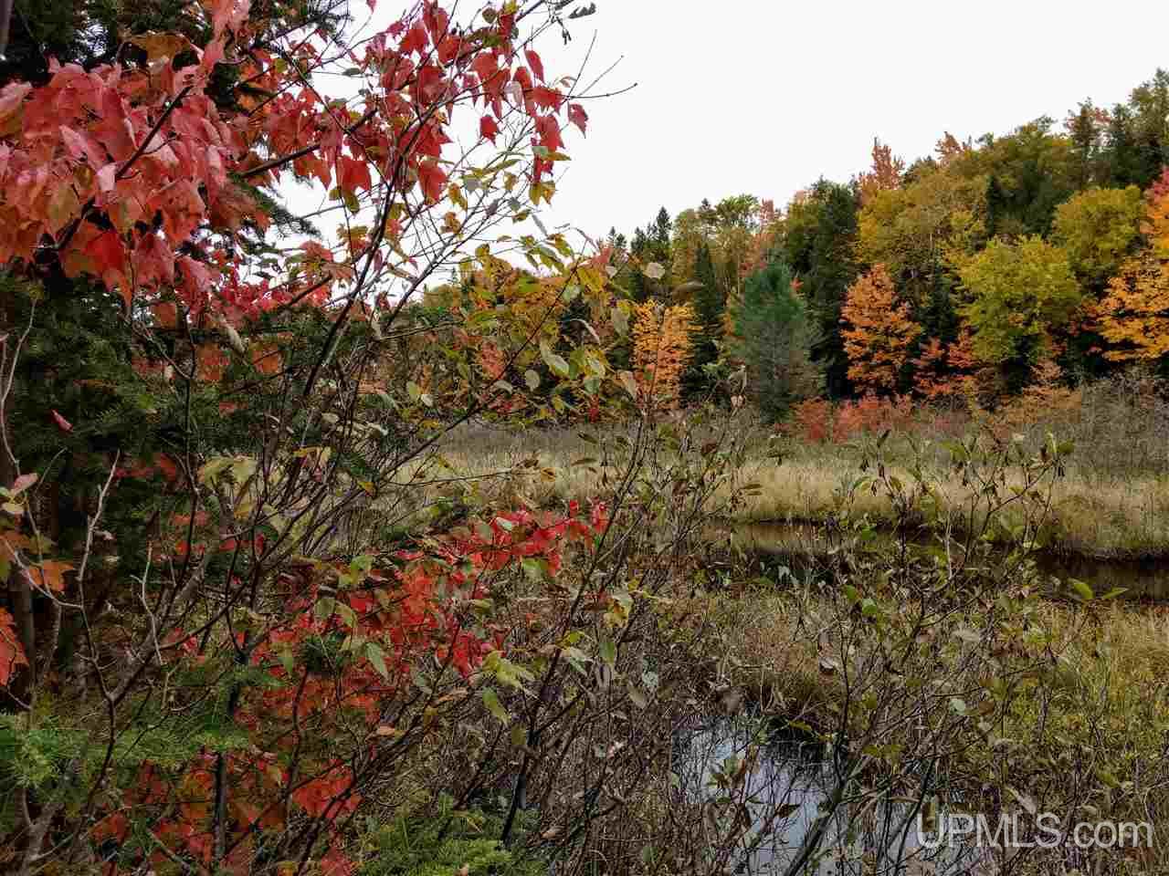 Tbd Peshekee Grade Road Skanee, MI 49962 - Photo 26 of 35