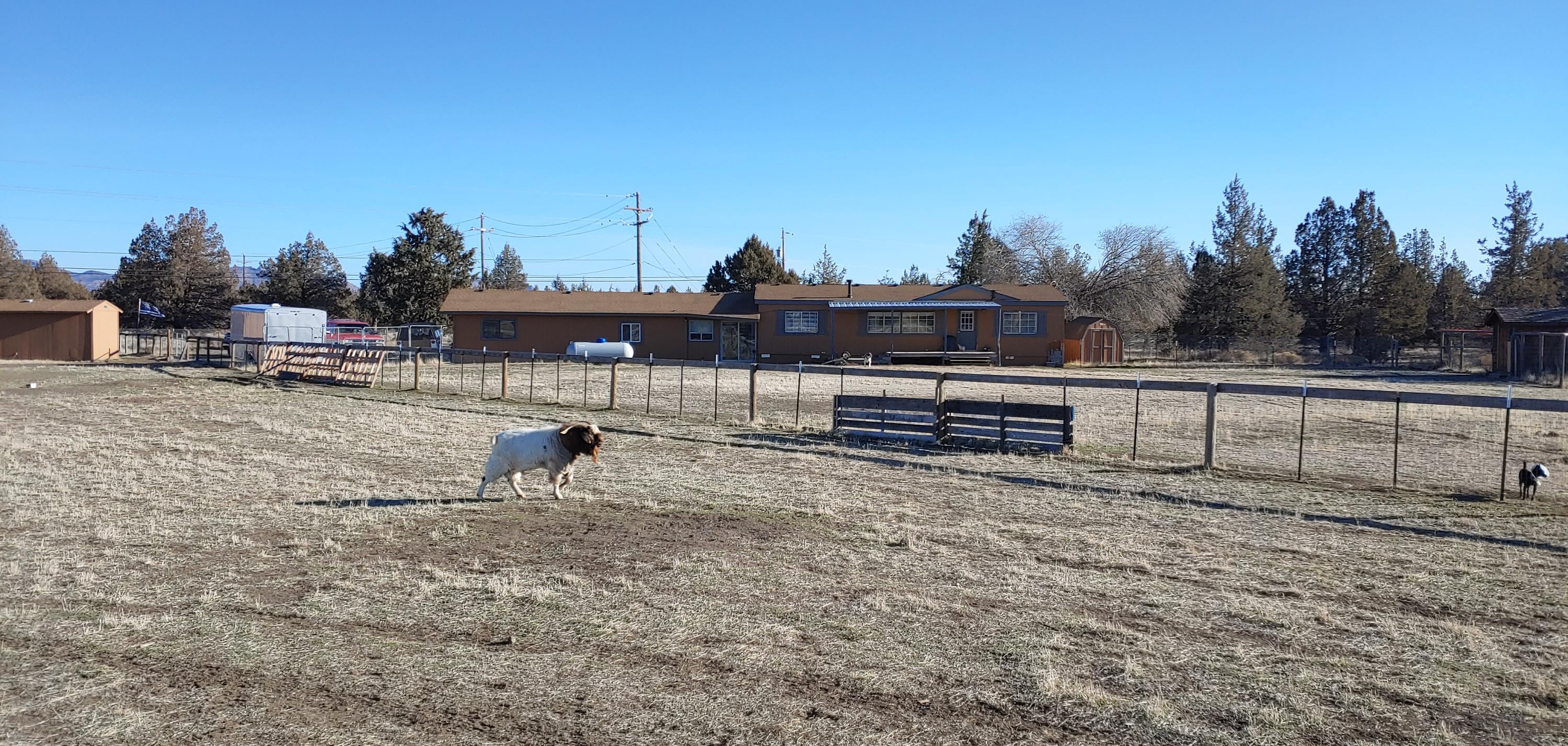 14984 Southwest Quail Road Terrebonne, OR 97760 - Photo 9 of 28 WILLY