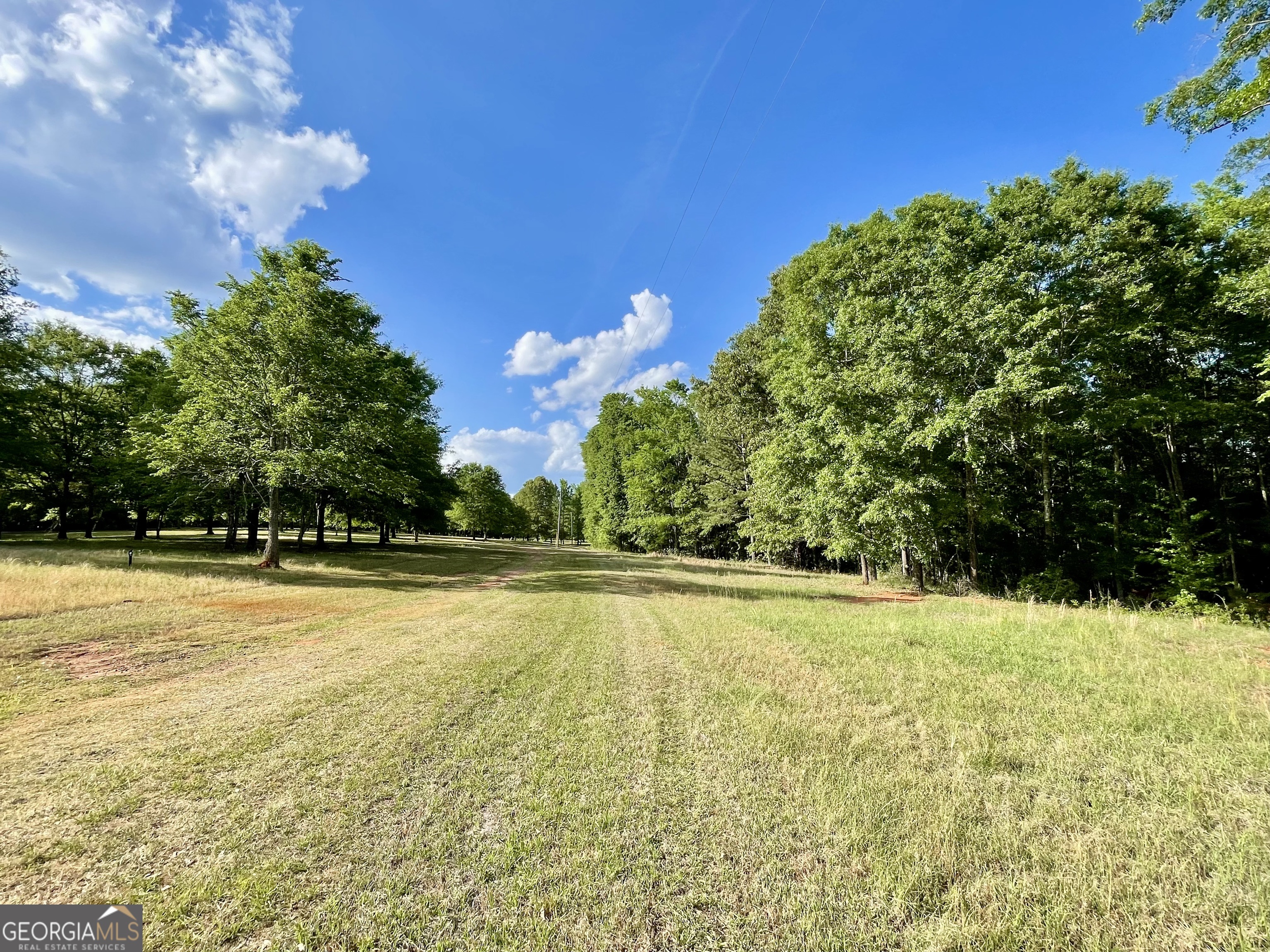 541 Pine Grove Church Road Culloden, GA 31016 - Photo 19 of 62
