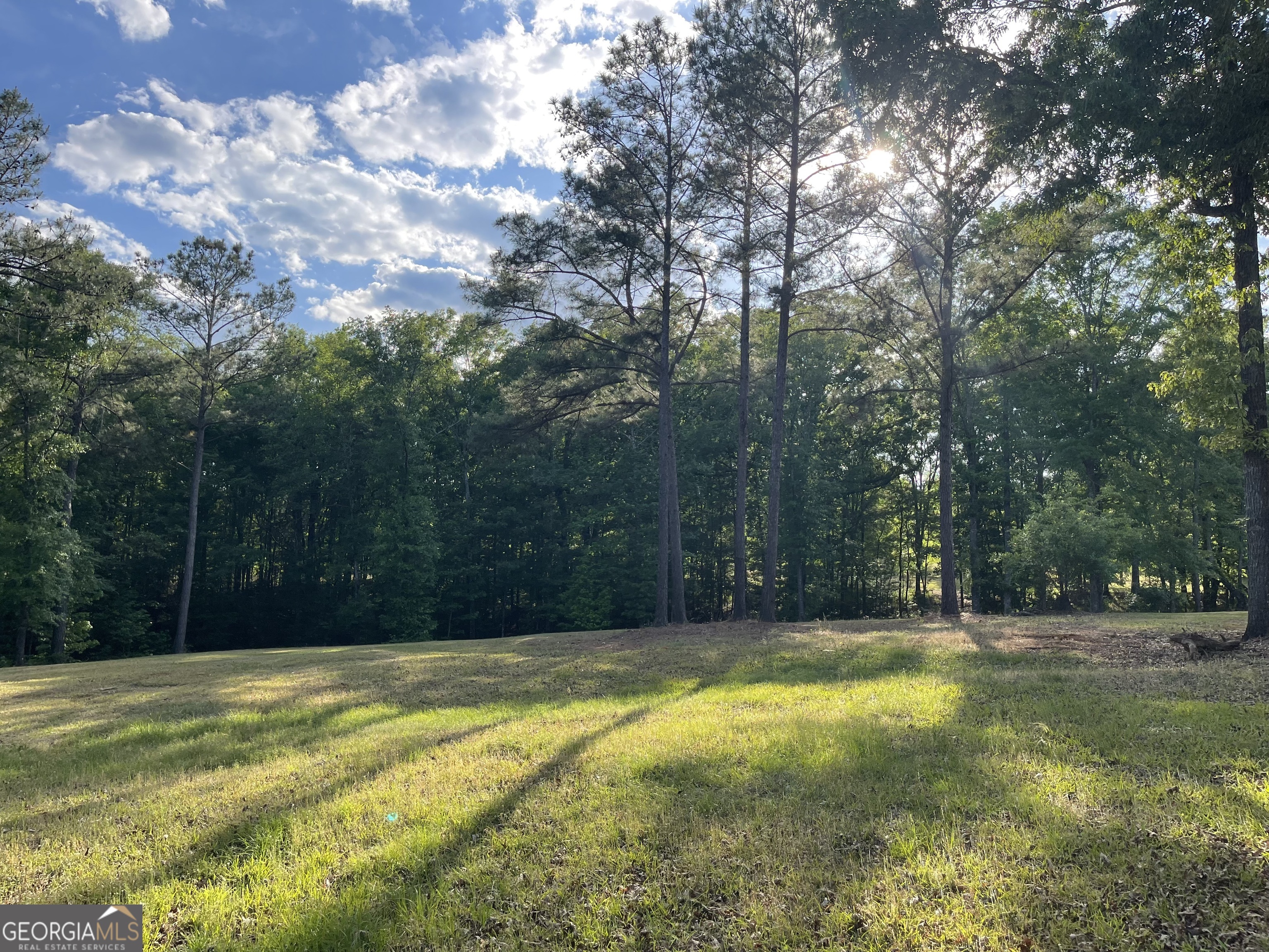541 Pine Grove Church Road Culloden, GA 31016 - Photo 21 of 62