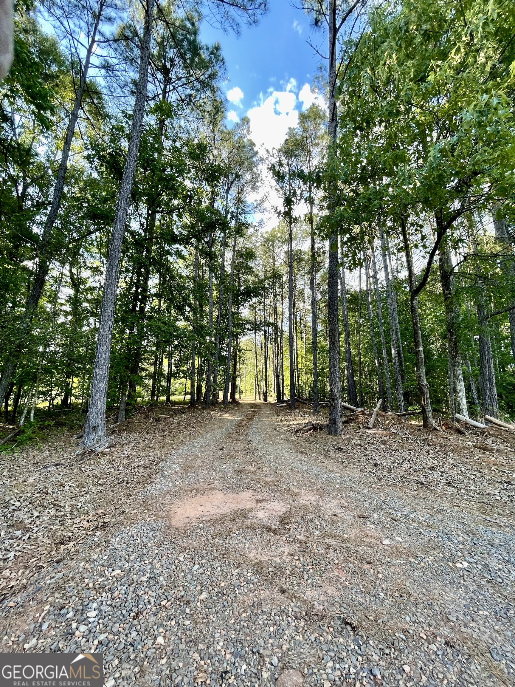 541 Pine Grove Church Road Culloden, GA 31016 - Photo 22 of 62