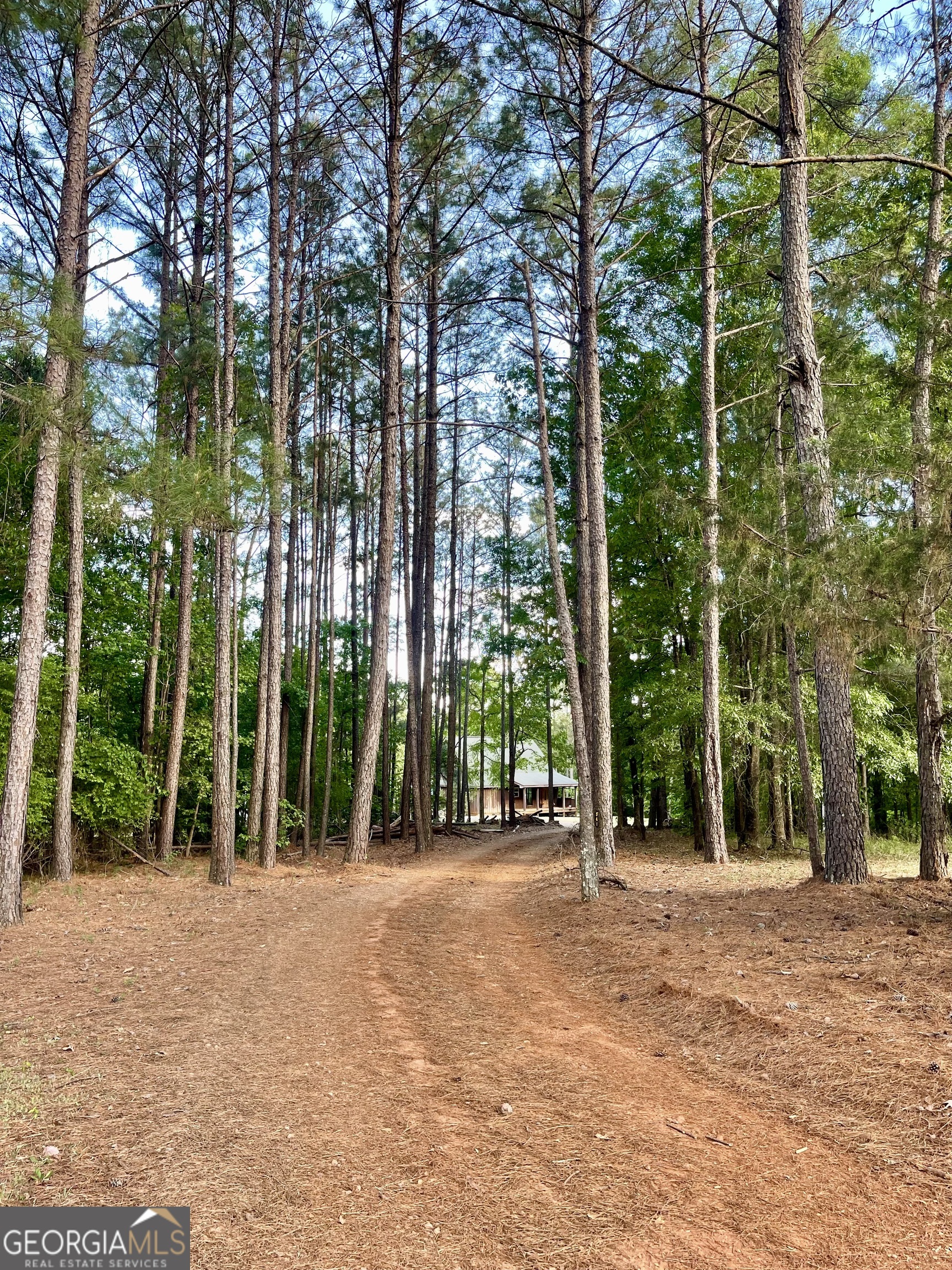 541 Pine Grove Church Road Culloden, GA 31016 - Photo 24 of 62