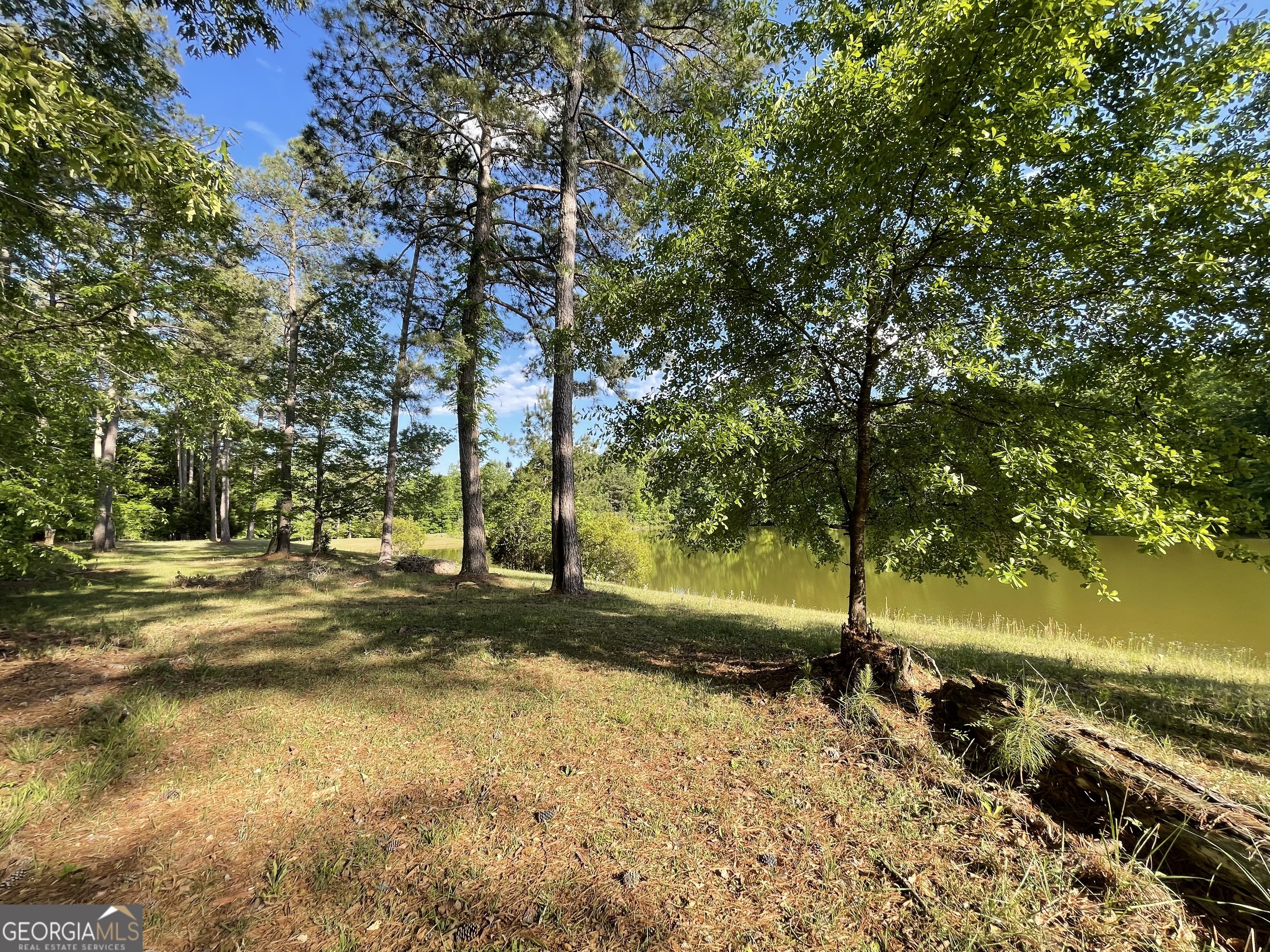 541 Pine Grove Church Road Culloden, GA 31016 - Photo 55 of 62