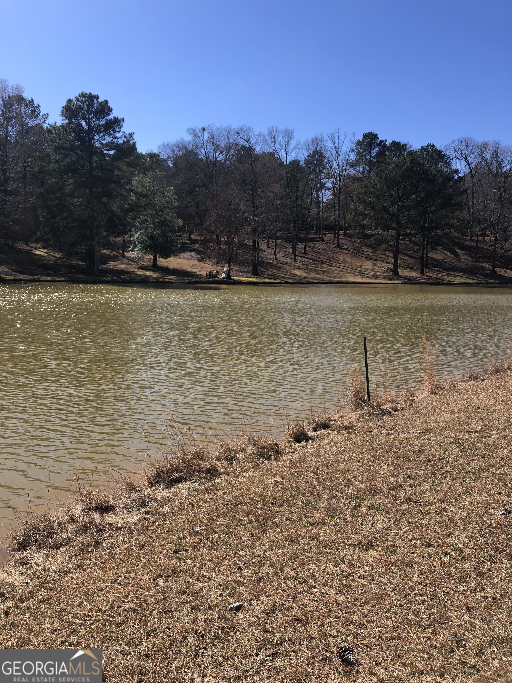 541 Pine Grove Church Road Culloden, GA 31016 - Photo 67 of 72 a view of a lake with a mountain