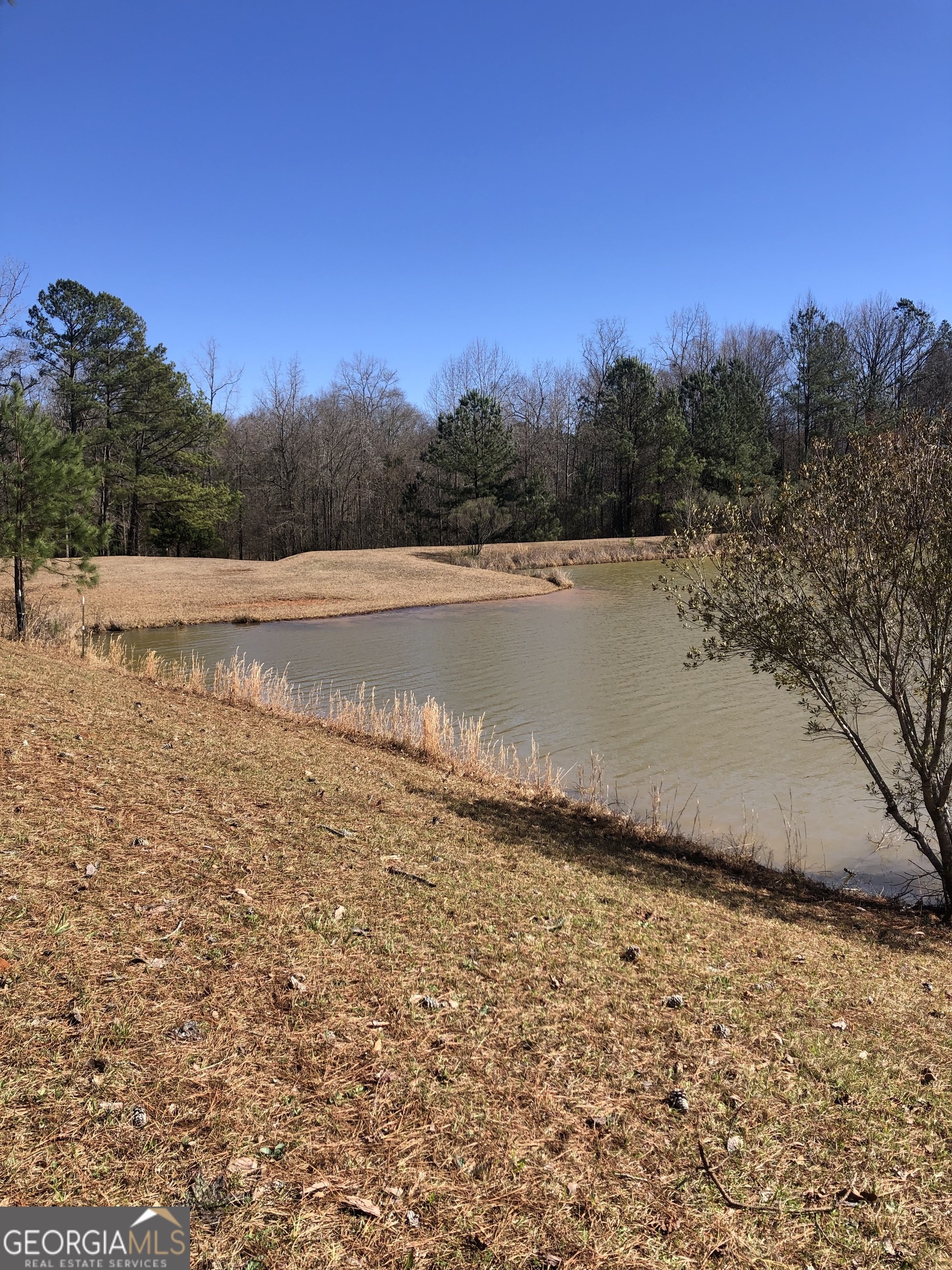 541 Pine Grove Church Road Culloden, GA 31016 - Photo 68 of 72