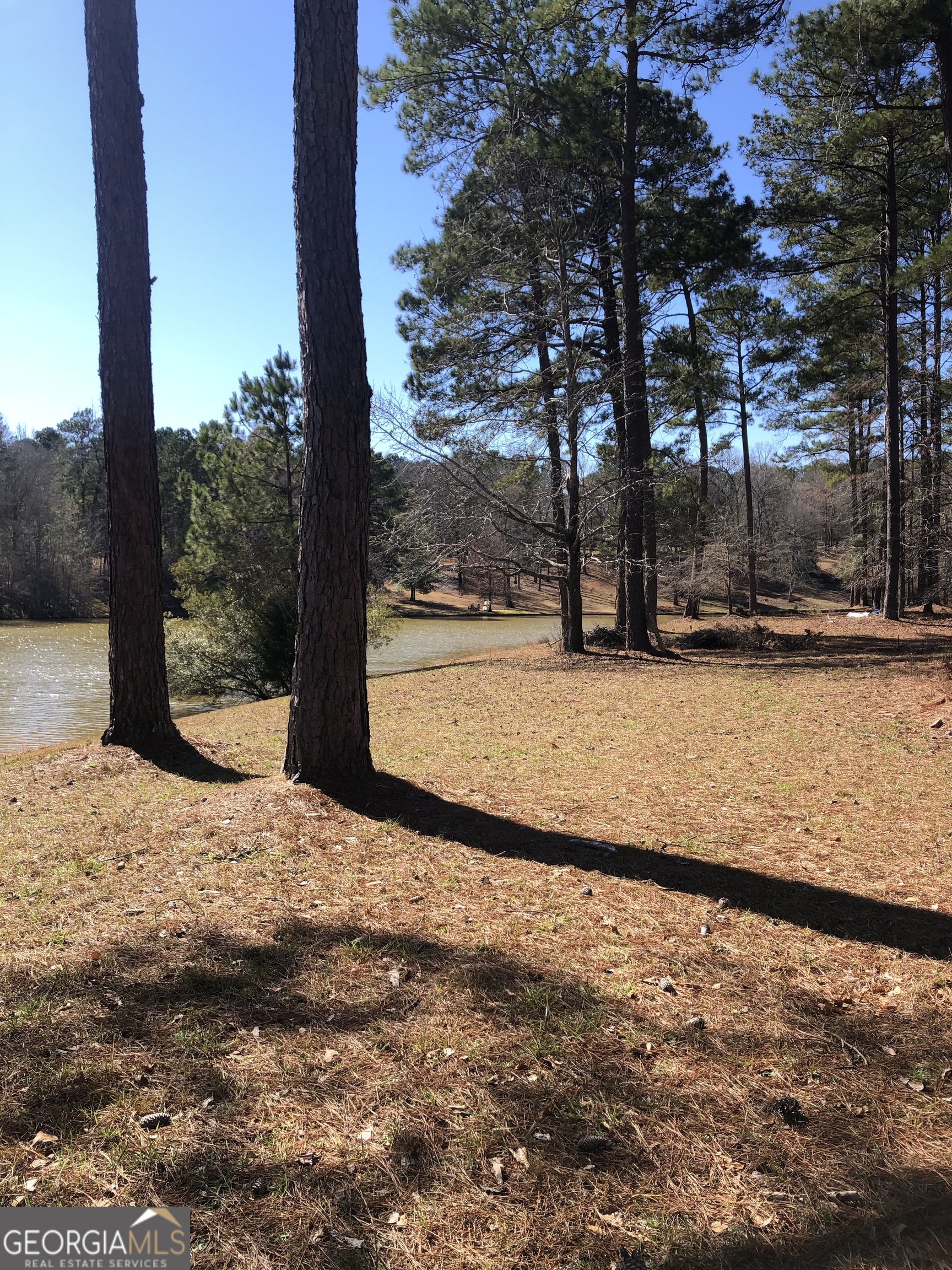 541 Pine Grove Church Road Culloden, GA 31016 - Photo 69 of 72 a view of a yard with a tree