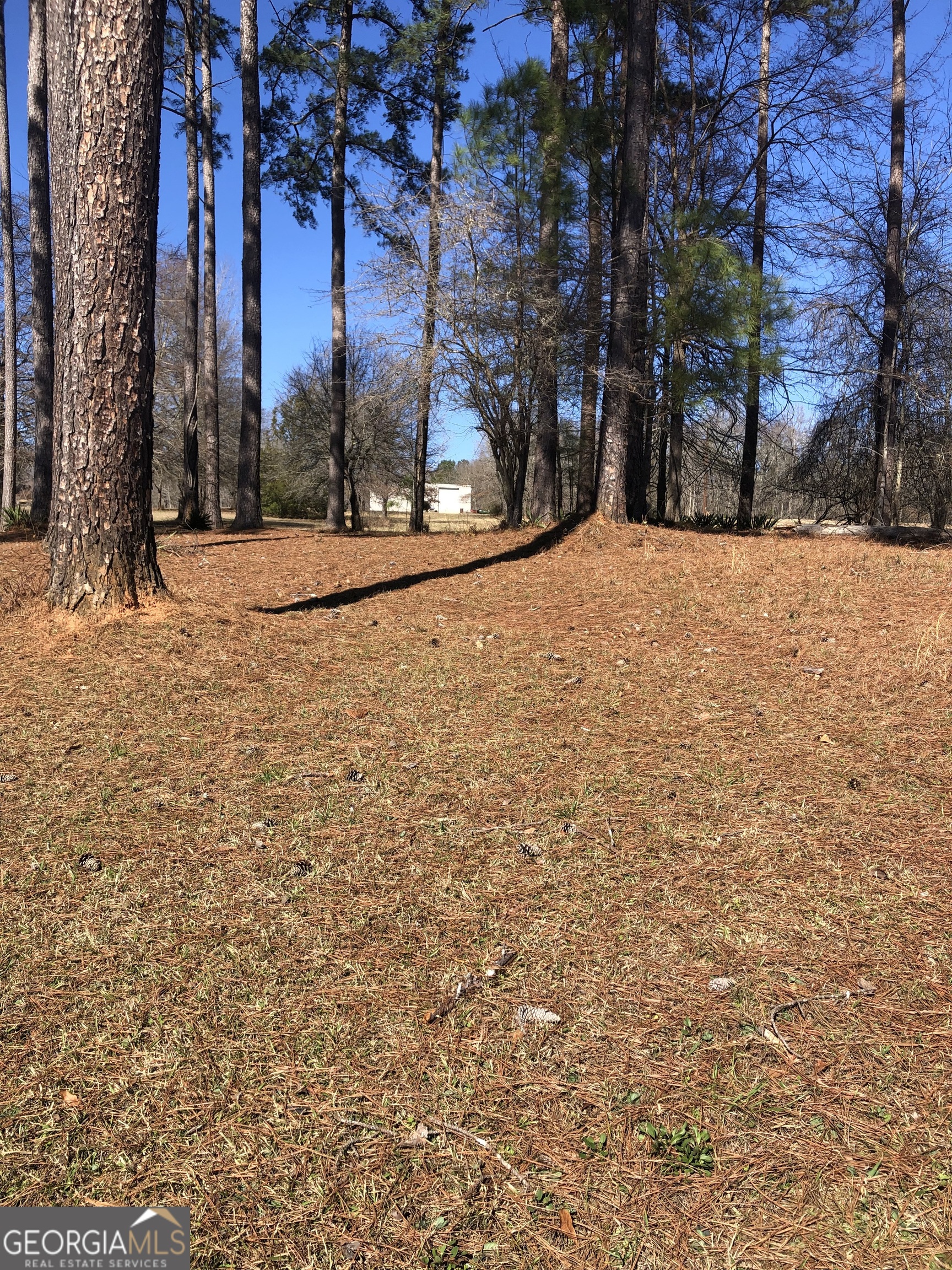 541 Pine Grove Church Road Culloden, GA 31016 - Photo 71 of 72 a view of snow on a road