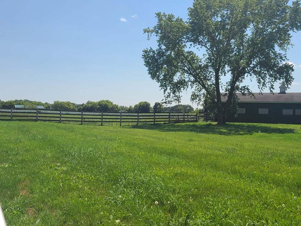 10813 Spring Road Garden Prairie, IL 61038 - Photo 3 of 9
