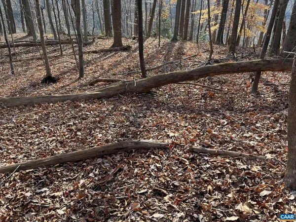 $199,500 | Monacan Trail Road, Covesville, VA 22931