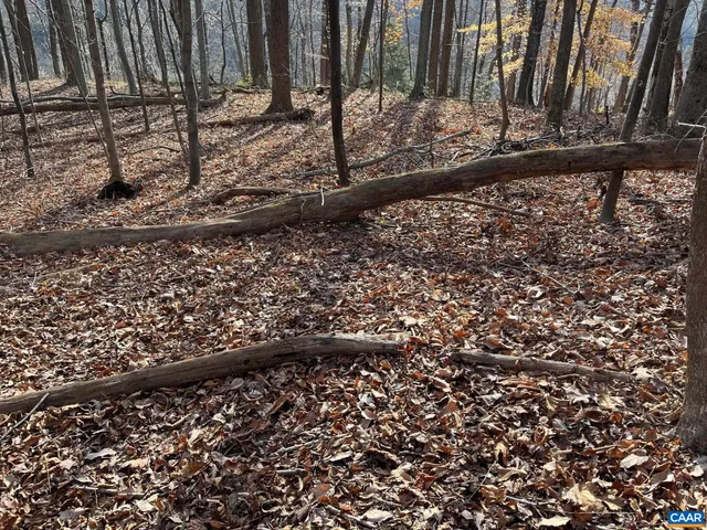 a view of a yard with wooden fence