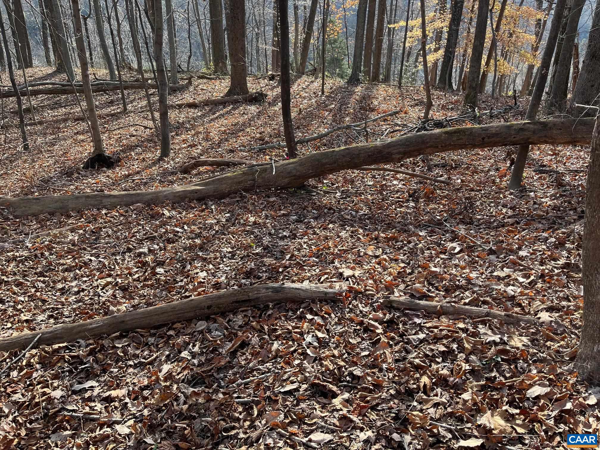 a view of a yard with wooden fence