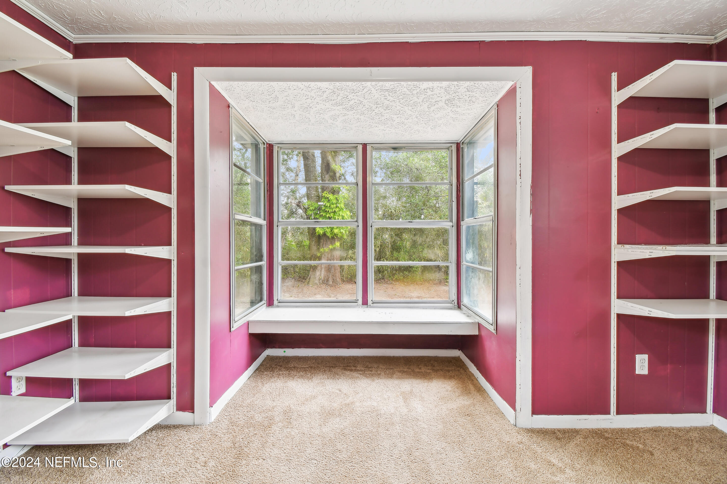 8657 Moss Haven Road Jacksonville, FL 32221 - Photo 21 of 48 13-DSC_3537
