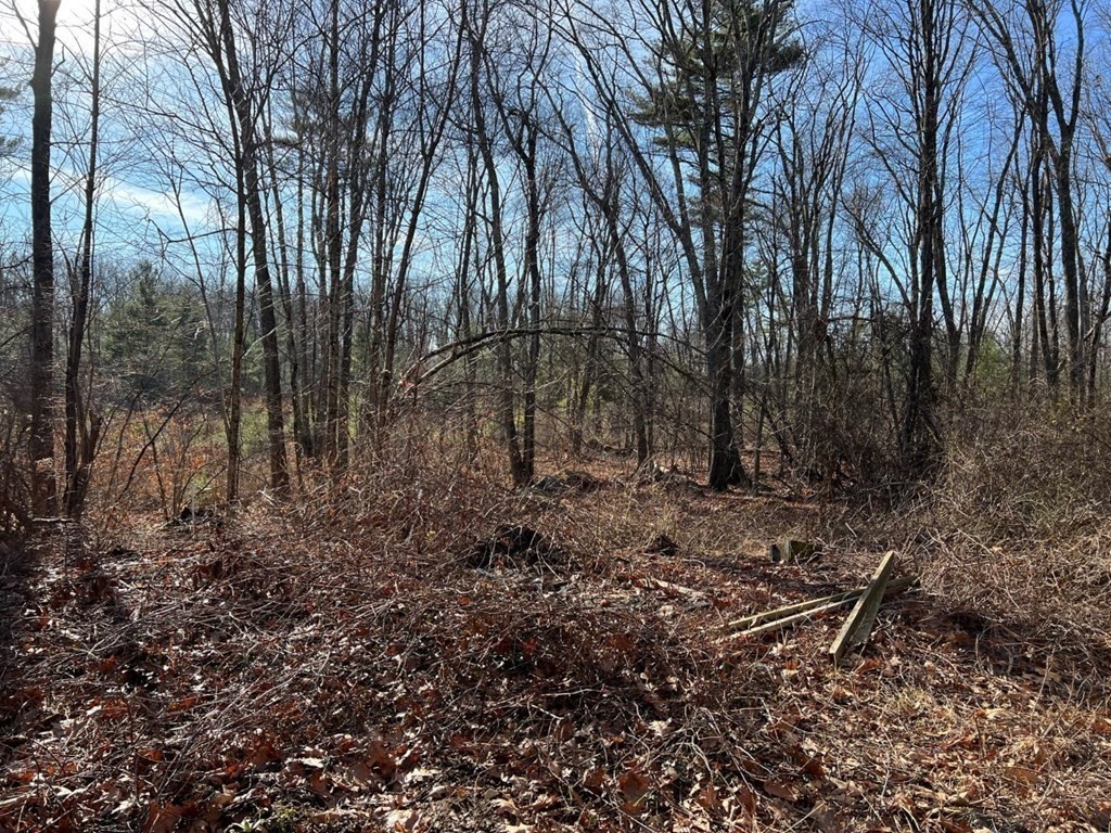 224 Three Rivers Road Wilbraham, MA 01095 - Photo 2 of 6 a backyard of a house with lots of green space