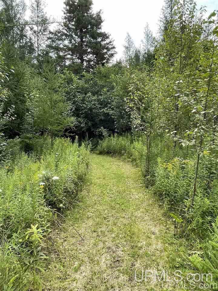 5348 W River Road Manistique, MI 49854 - Photo 42 of 49 Gallery Image 42